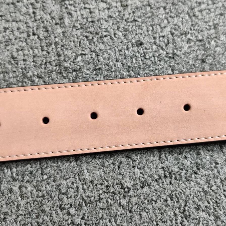 Louis Vuitton Monogram Belt with LV Buckle in Multiple Colors