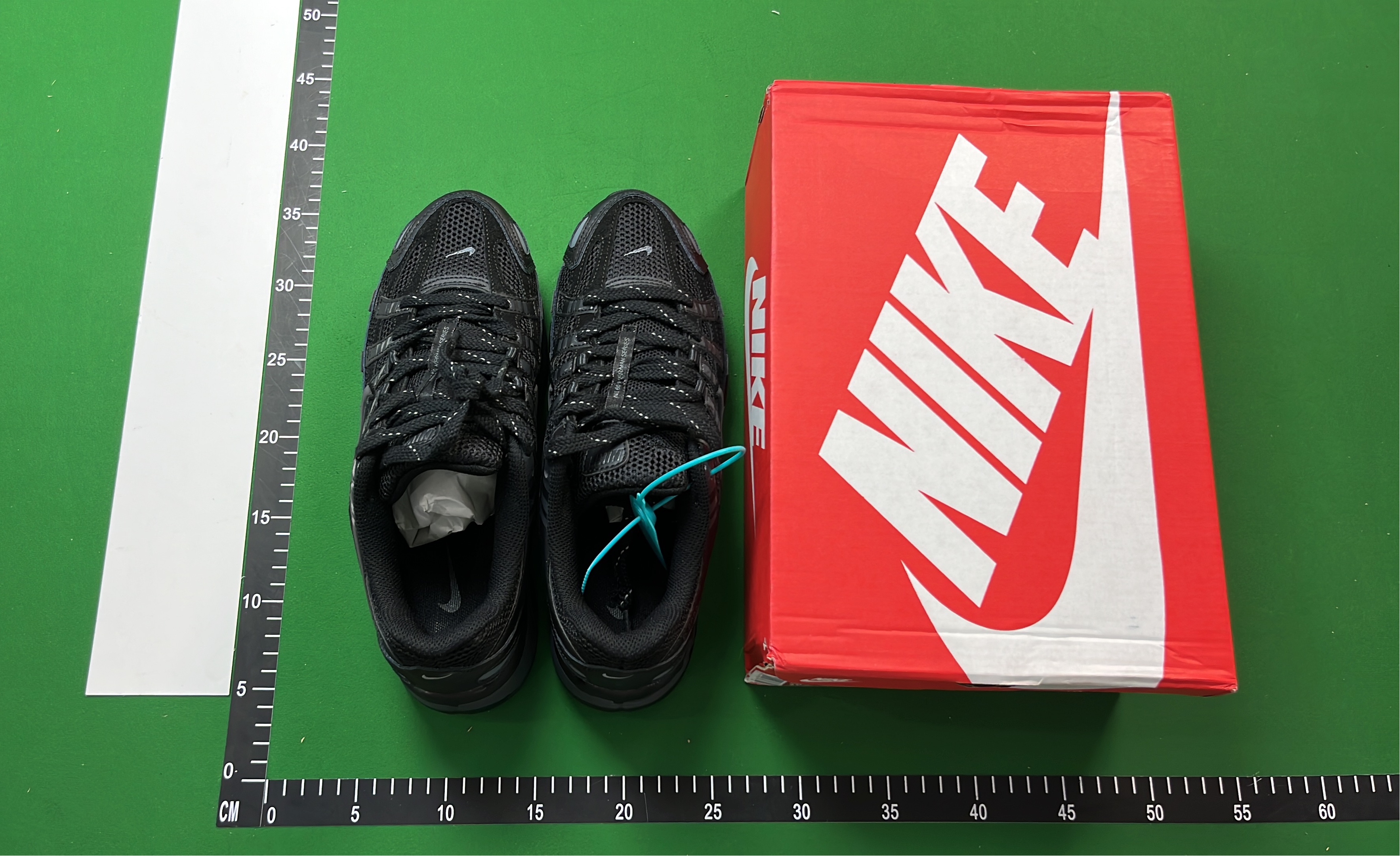 Nike P-6000 Running Shoes for Men and Women