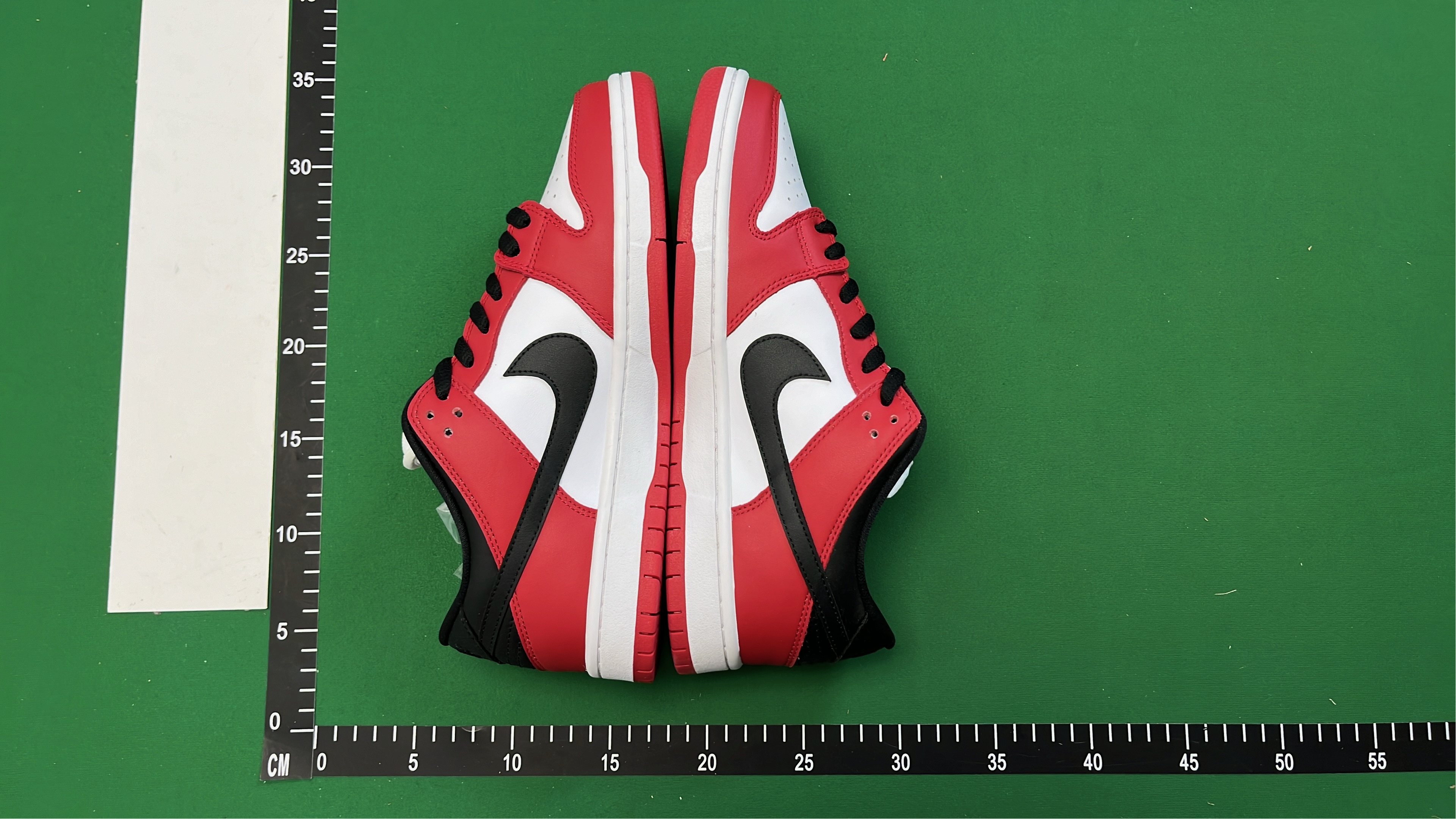 Nike Dunk Low Retro Shoes for Men and Women