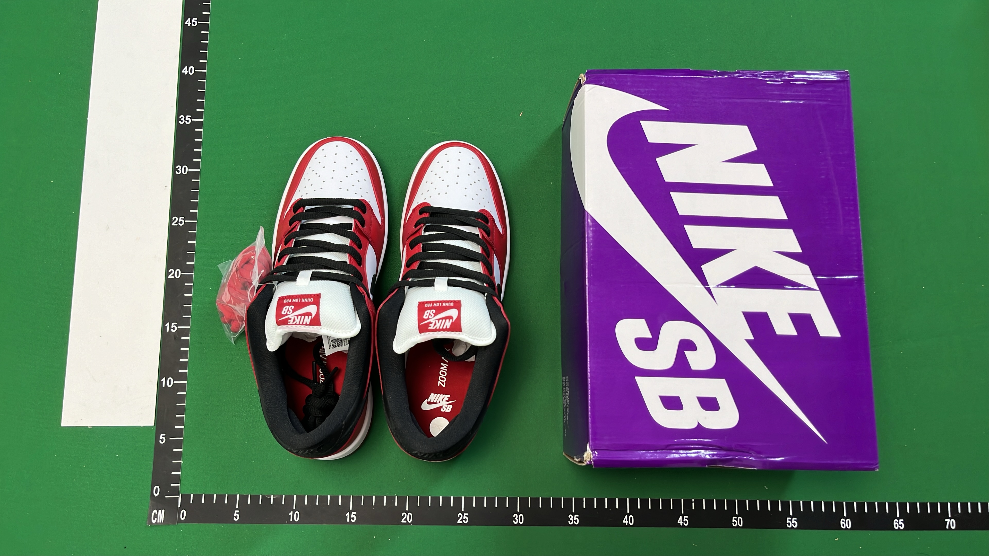 Nike Dunk Low Retro Shoes for Men and Women