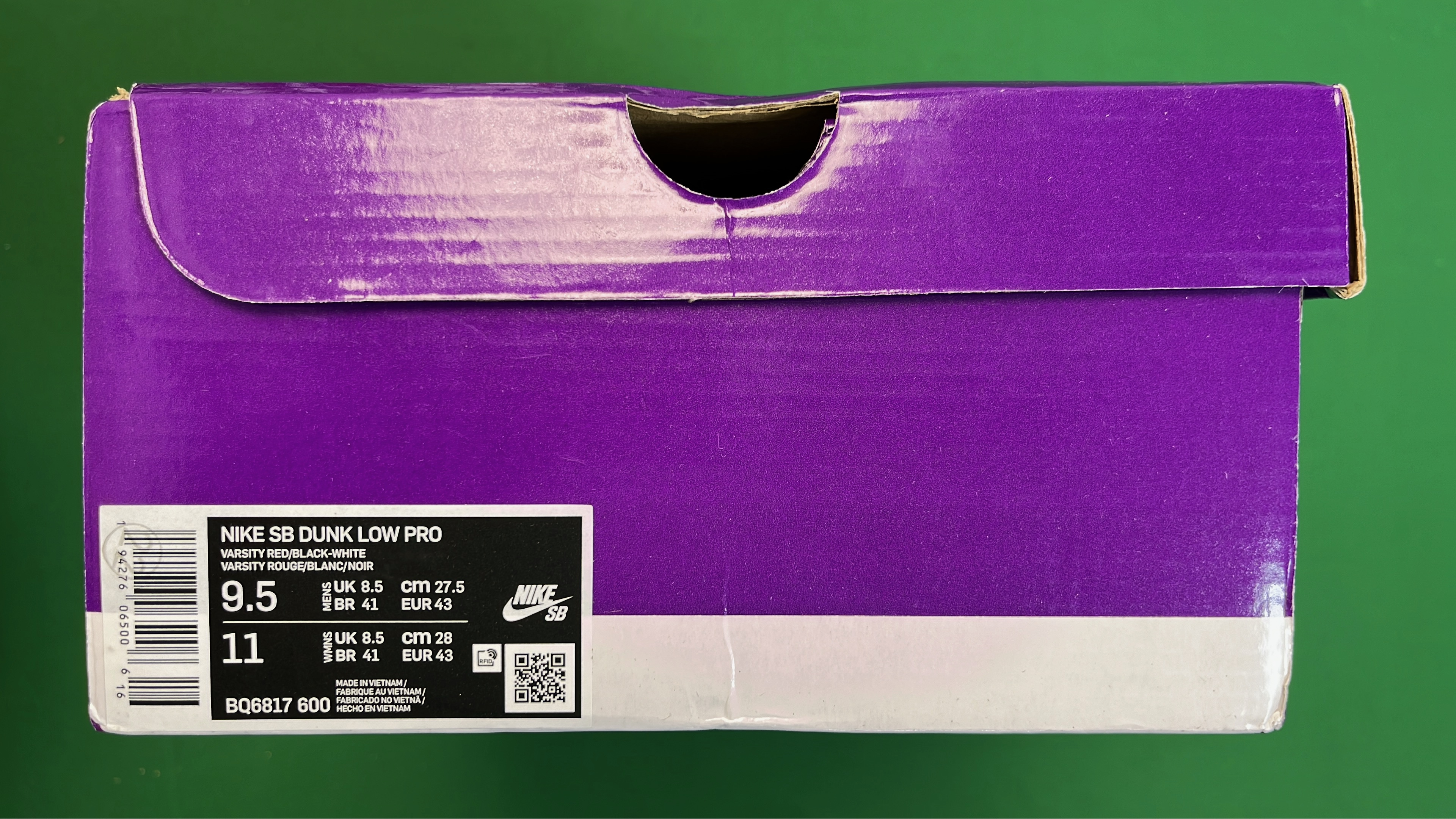 Nike Dunk Low Retro Shoes for Men and Women