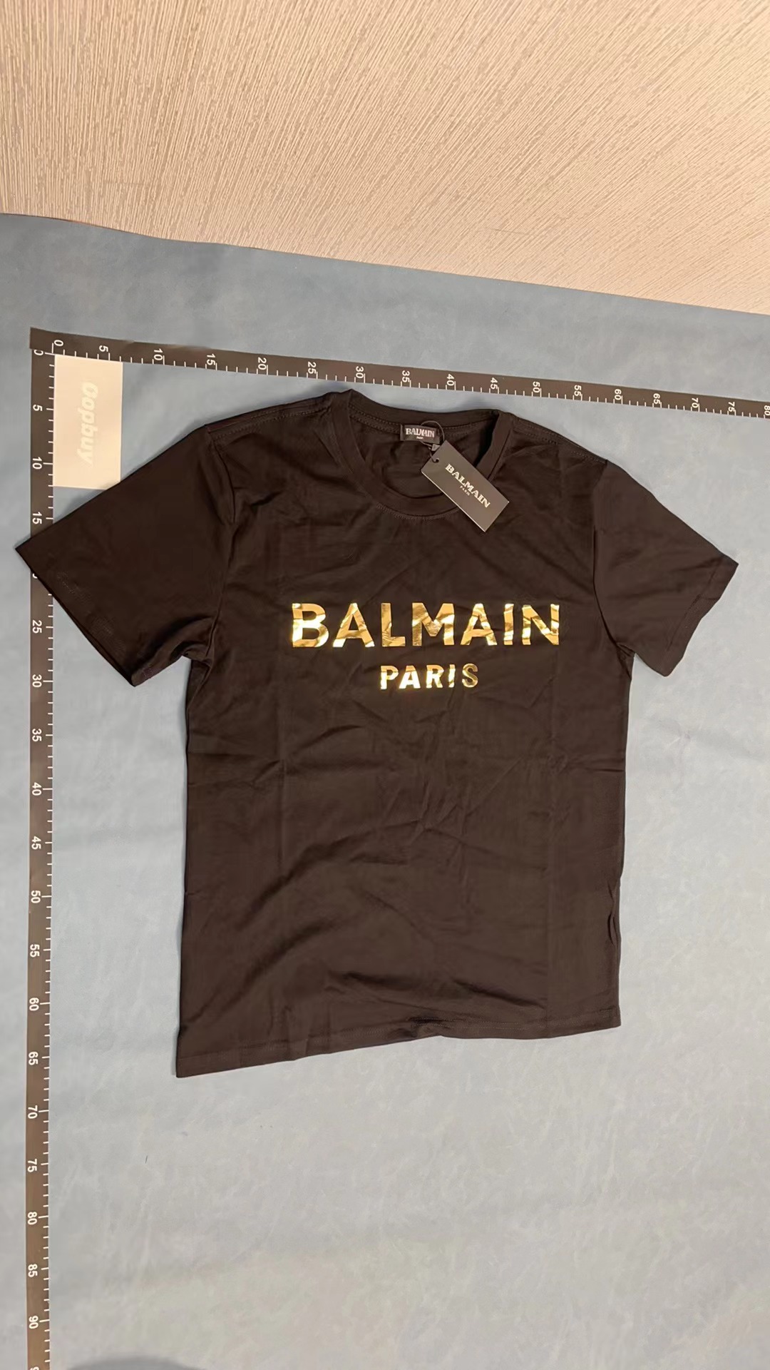 Balmain Paris Logo T-Shirt - White and Black