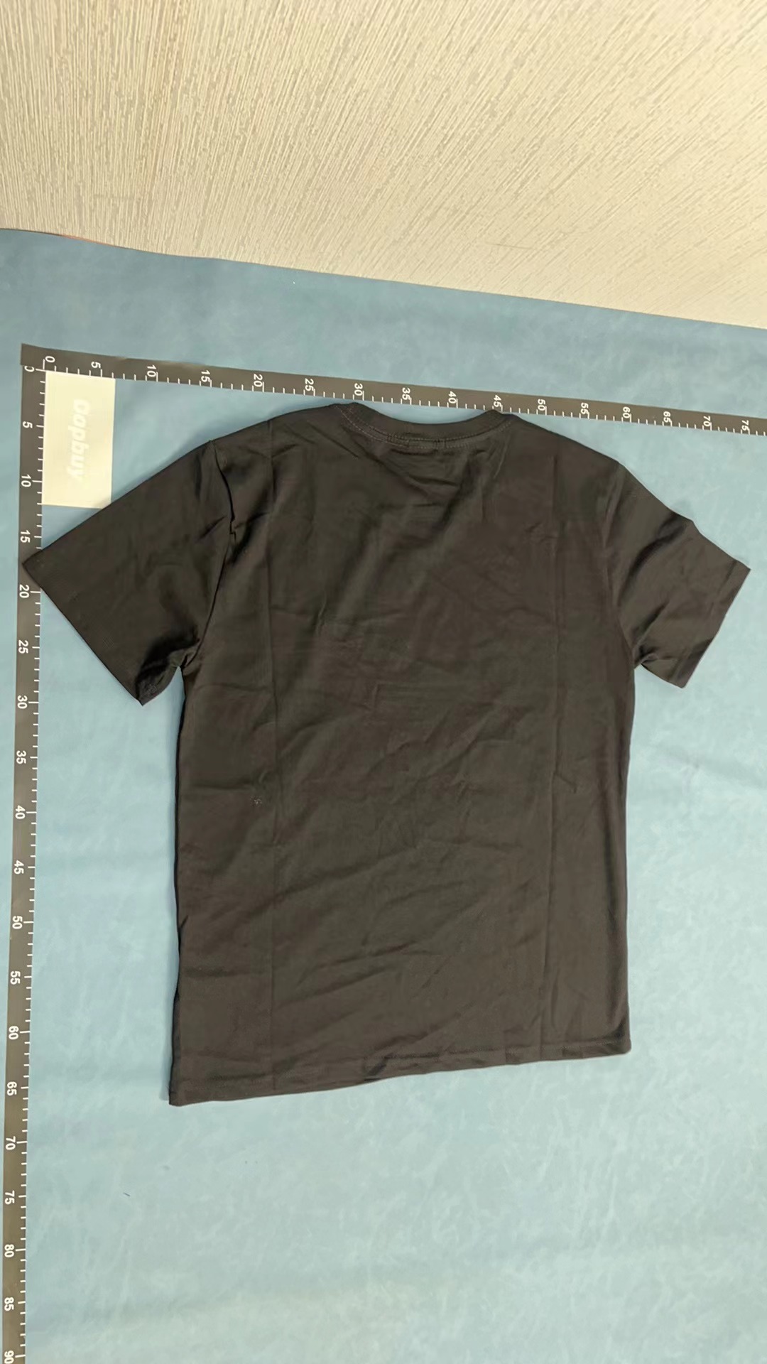 Balmain Paris Logo T-Shirt - White and Black