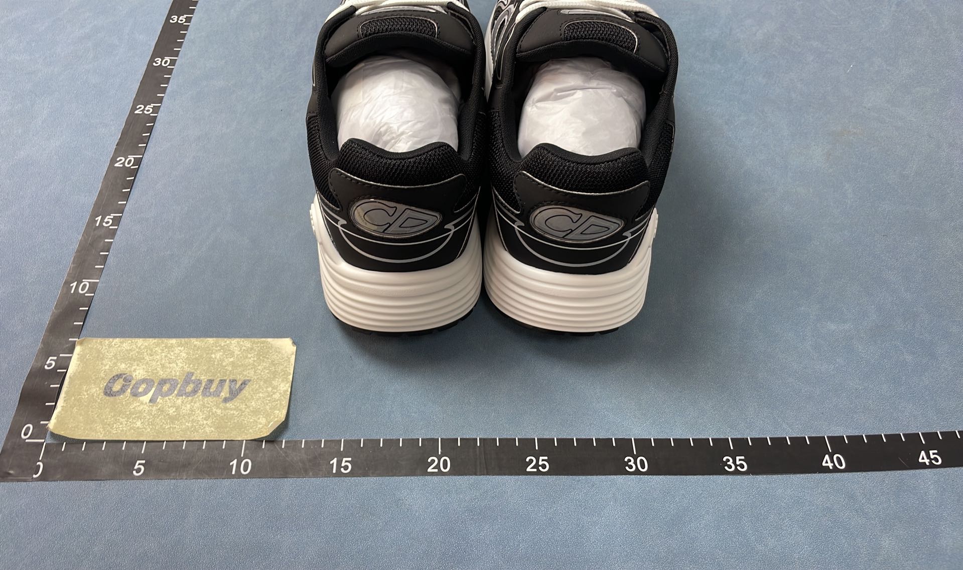 Dior B27 Black Sneakers with White Accents