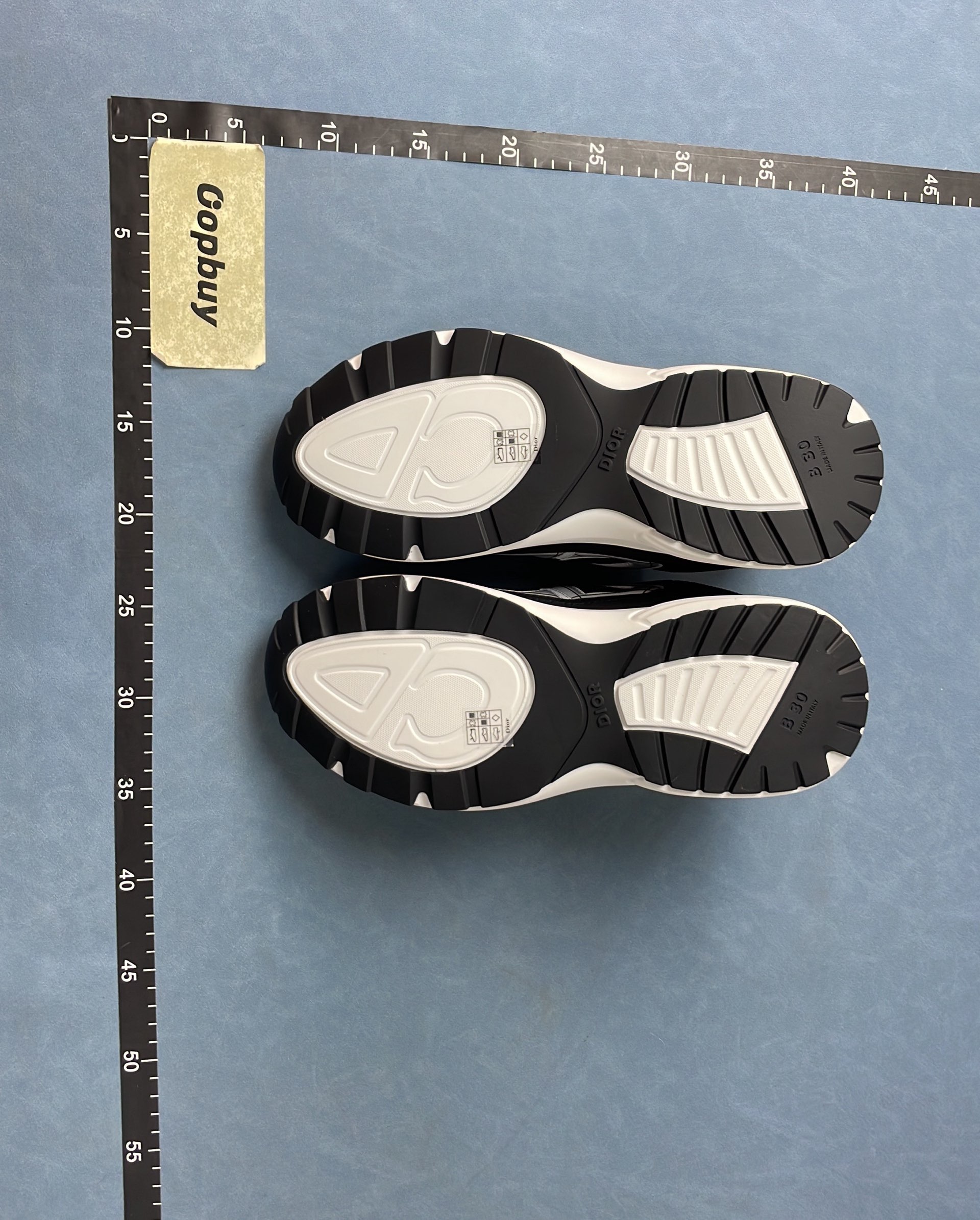 Dior B27 Black Sneakers with White Accents