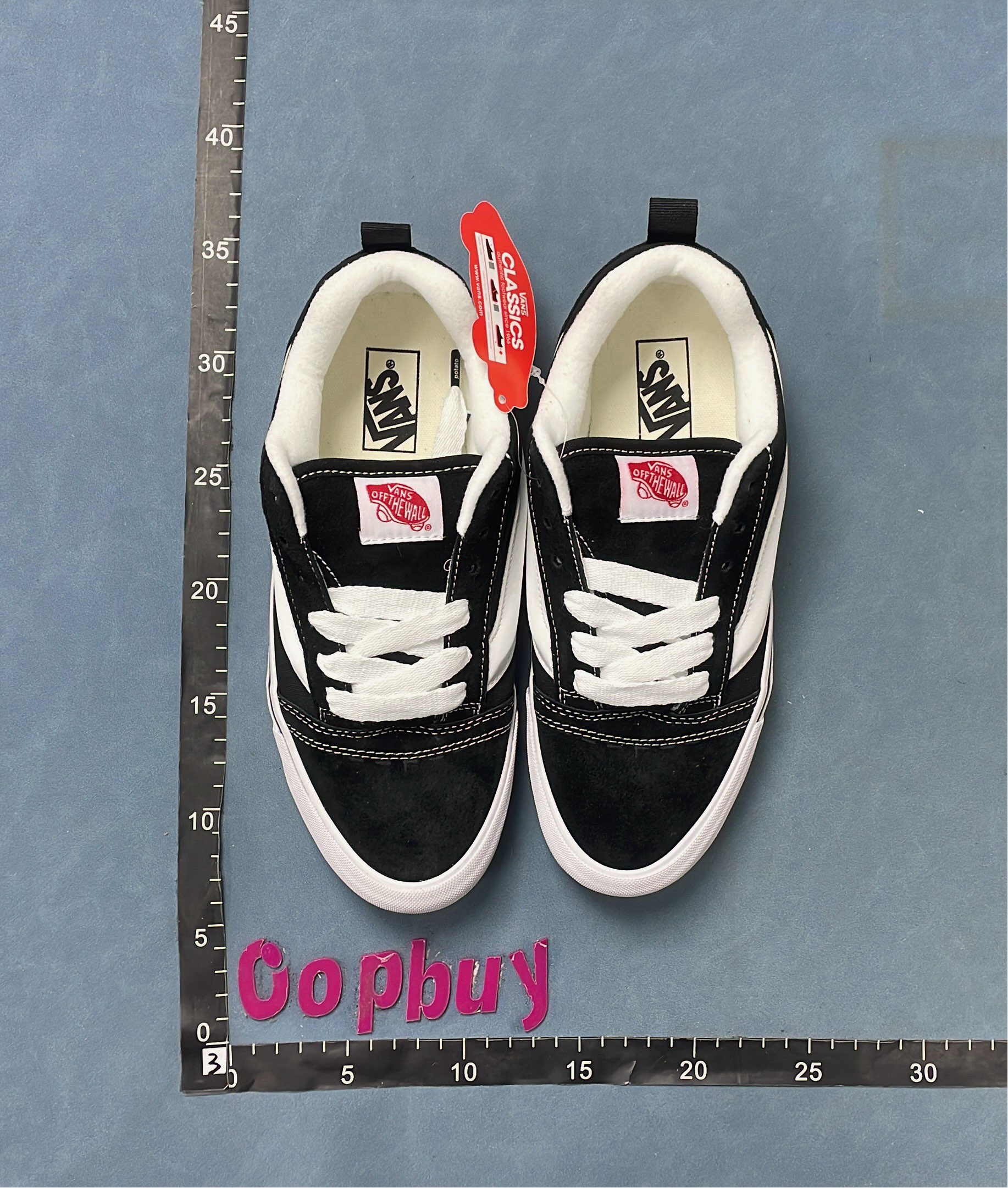 Vans Slip-On Skate Shoes for Men and Women