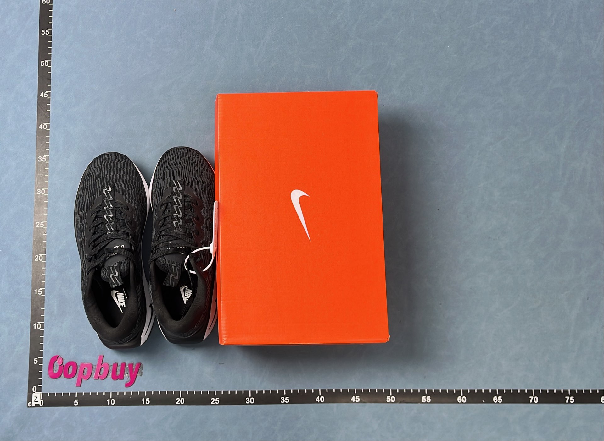 Nike Running Shoes for Men and Women