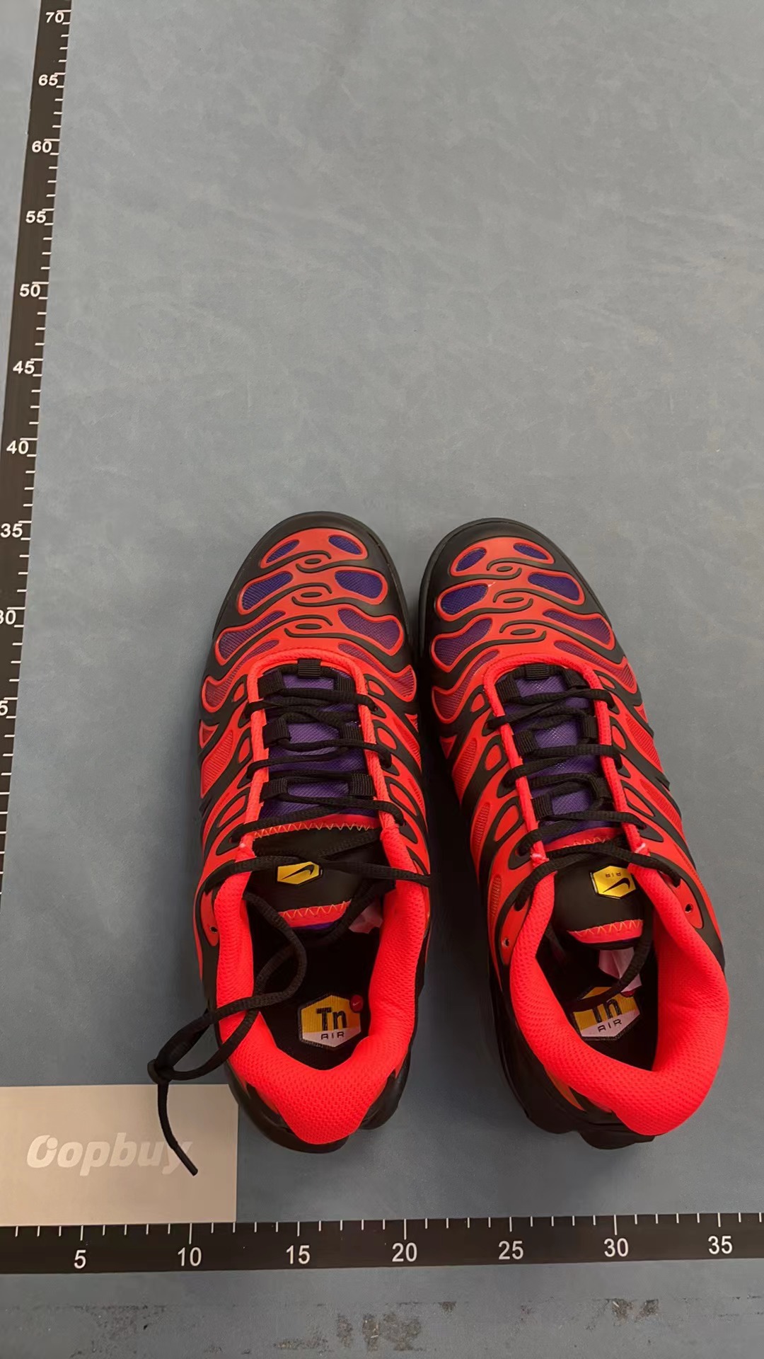 Nike Air Max Plus TN Sneakers for Men and Women