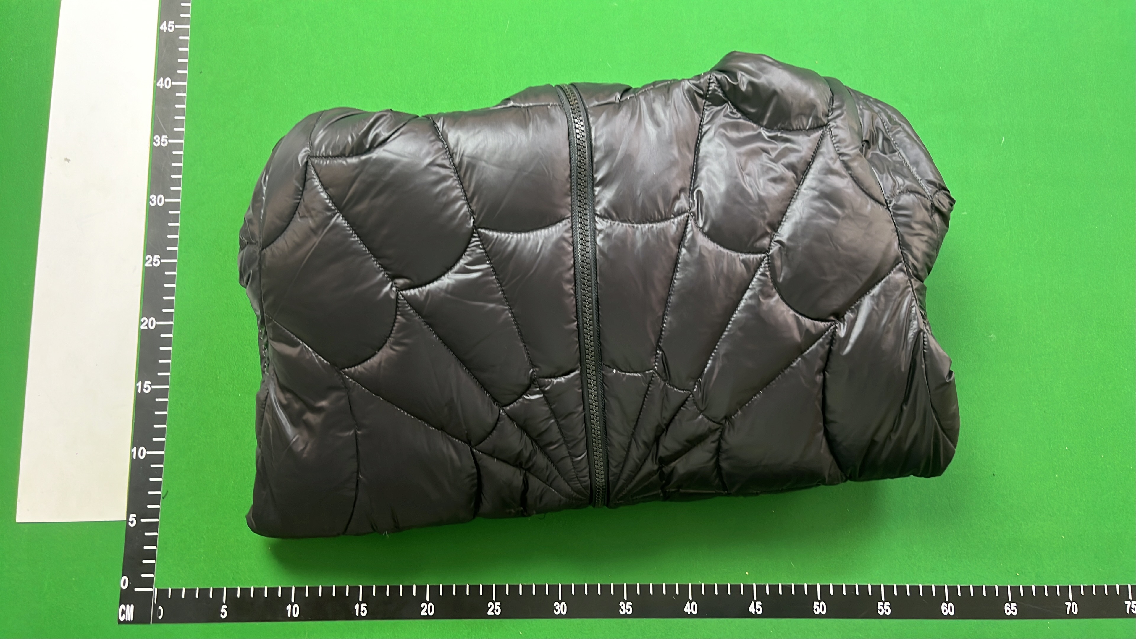 Moncler Black Hooded Puffer Jacket with Quilted Design