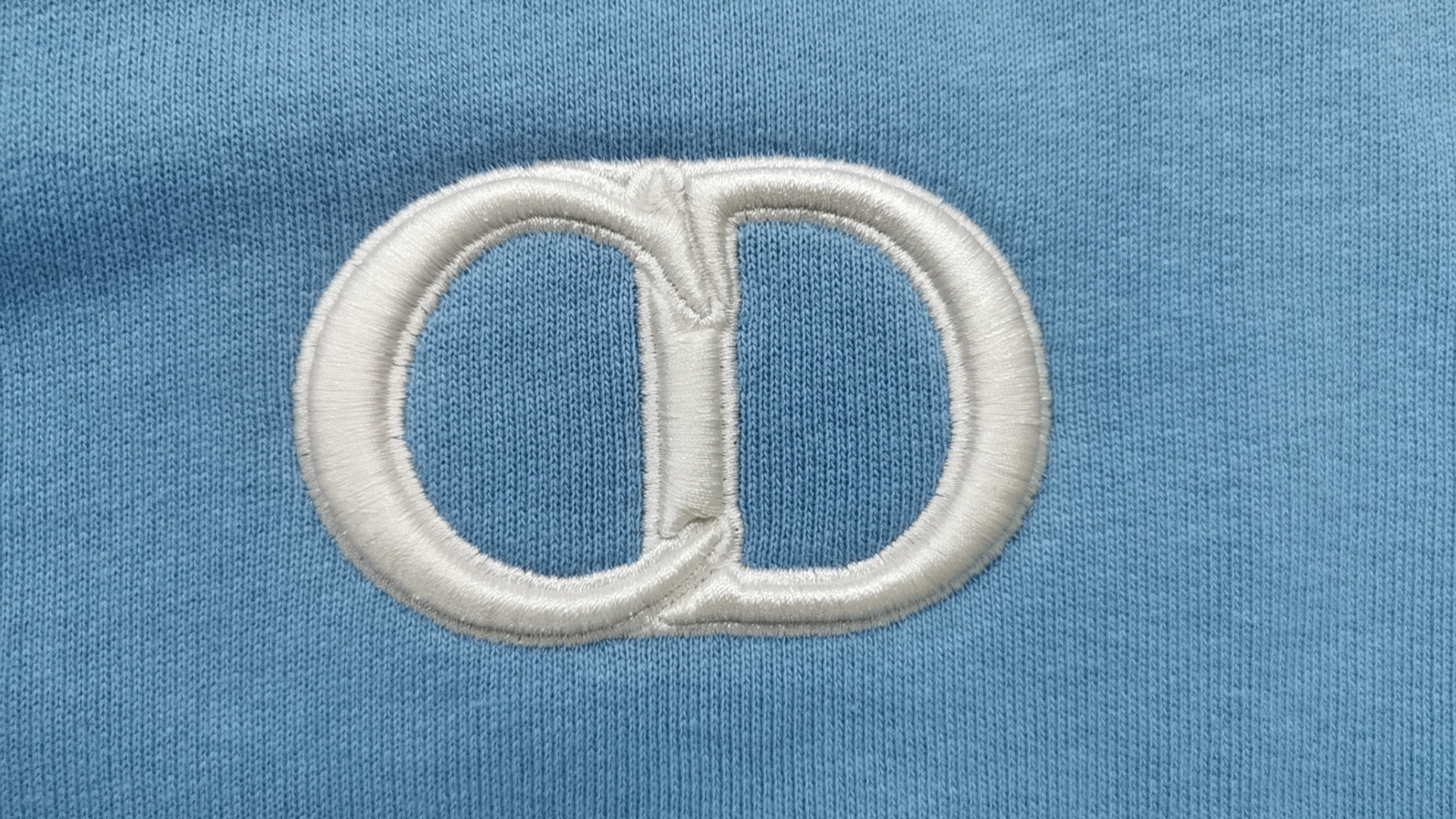Champion Light Blue Hoodie with Logo
