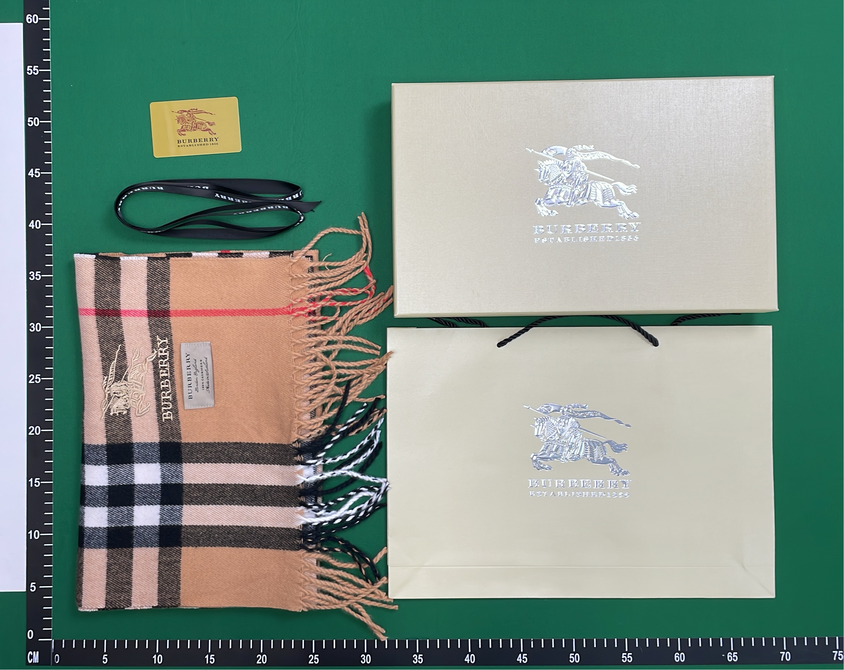 Burberry Classic Check Scarf