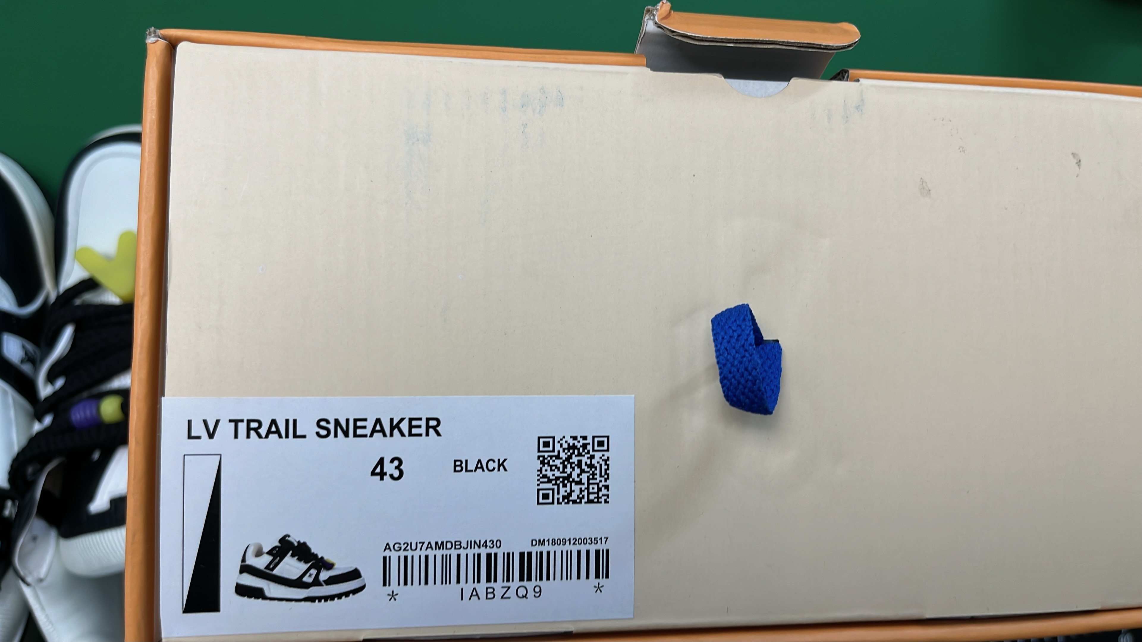 LV Trainer Sneakers Multi-Color Edition