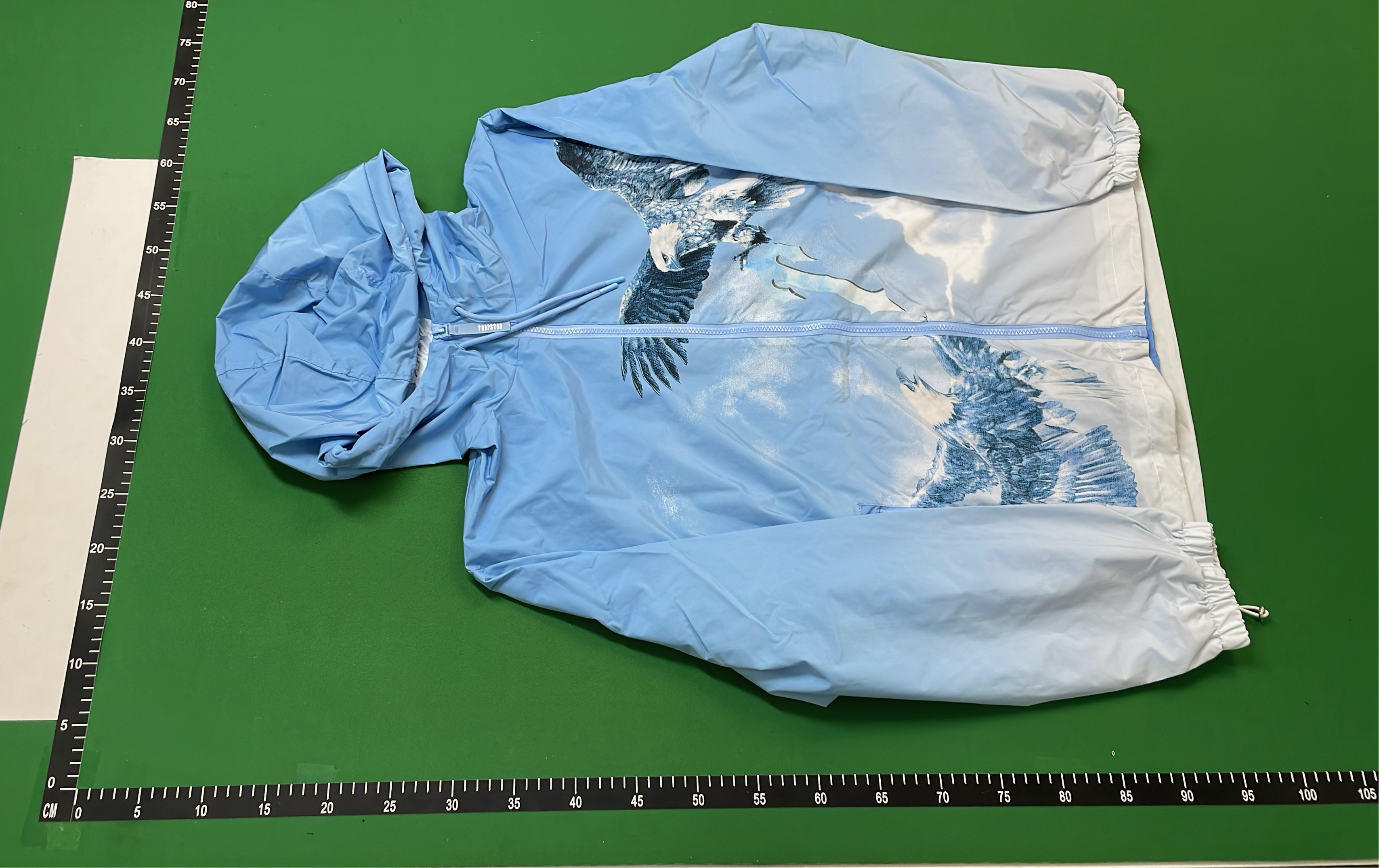 Blue Eagle Print Hooded Jacket for Outdoor Adventures