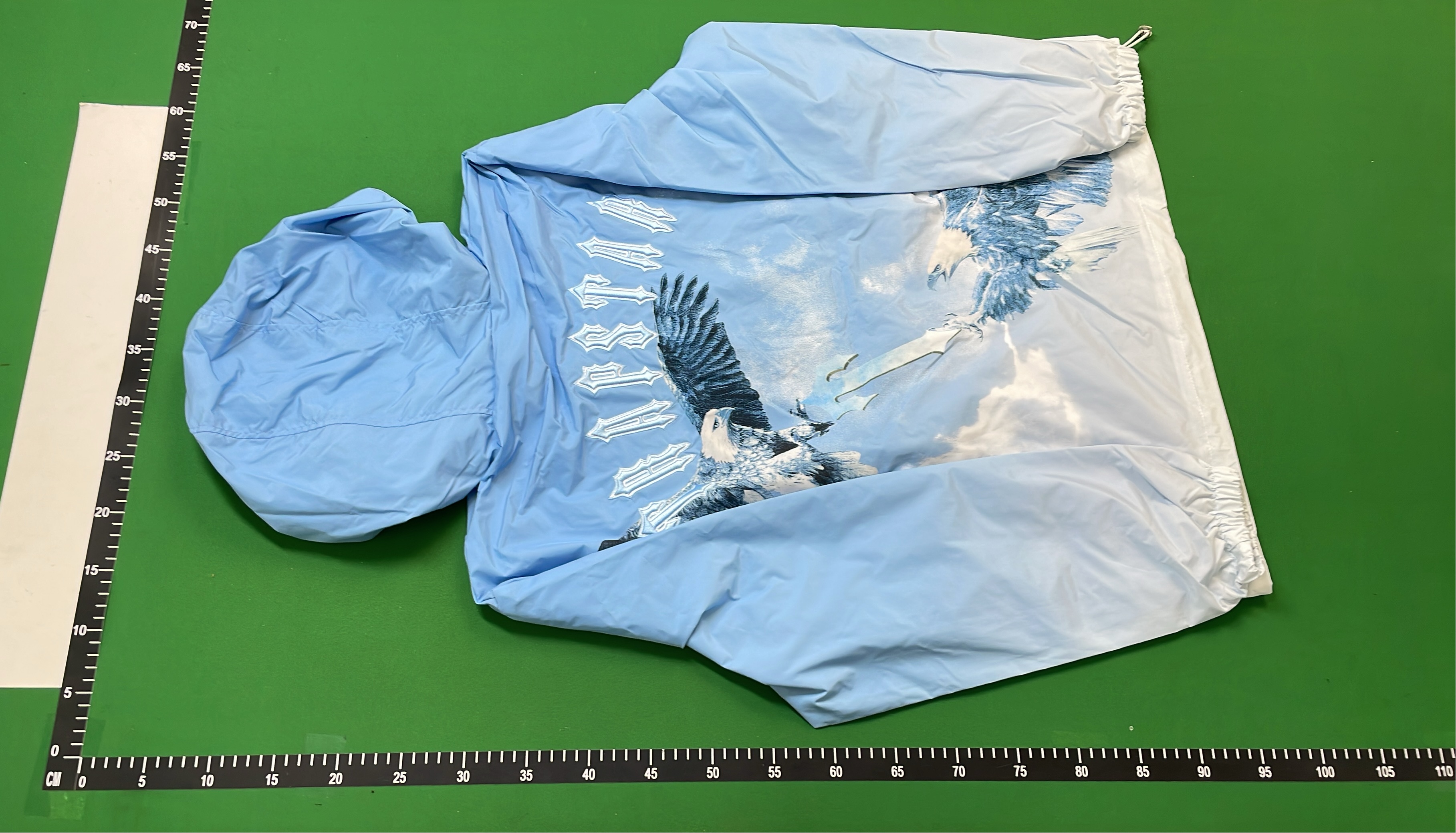 Blue Eagle Print Hooded Jacket for Outdoor Adventures