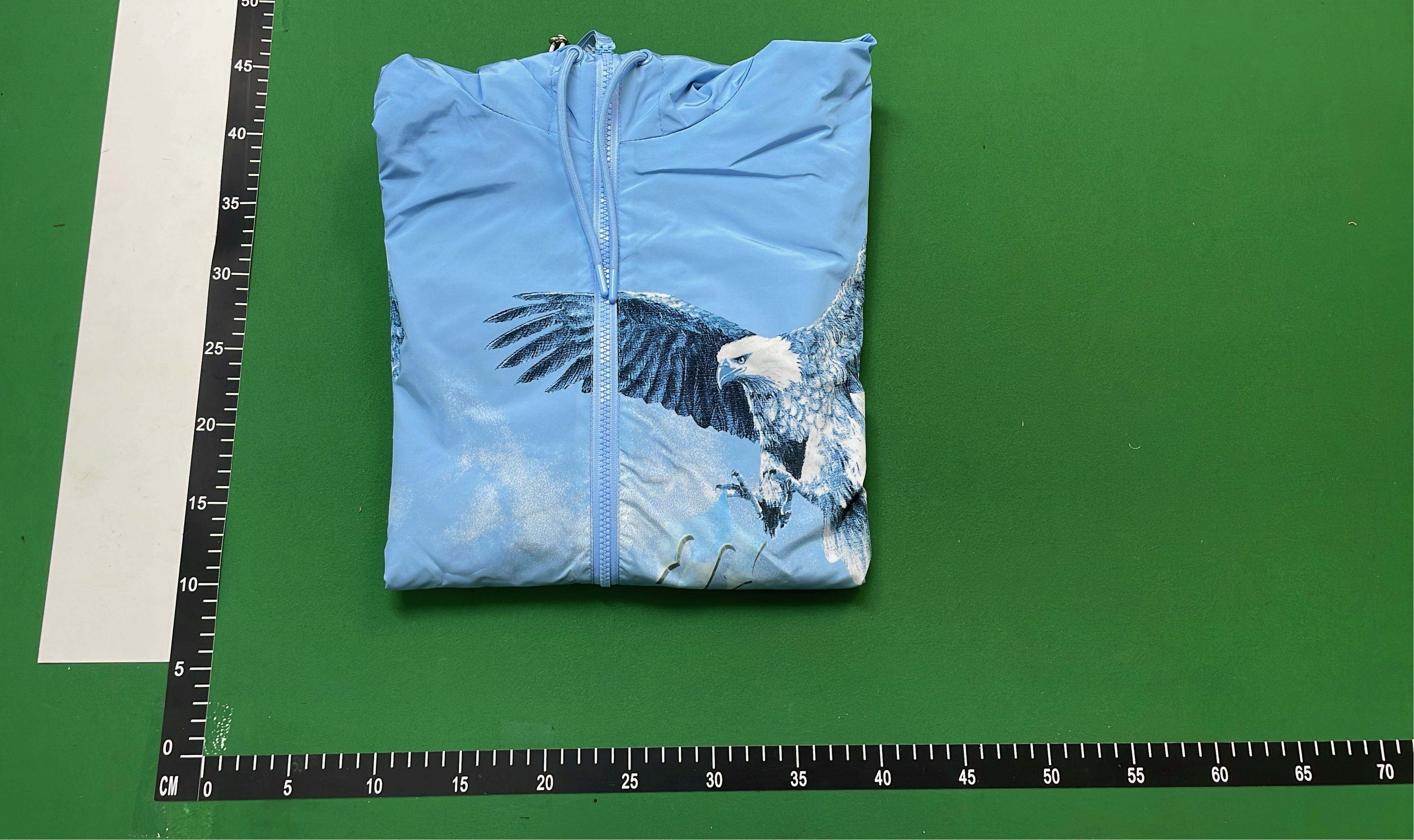 Blue Eagle Print Hooded Jacket for Outdoor Adventures
