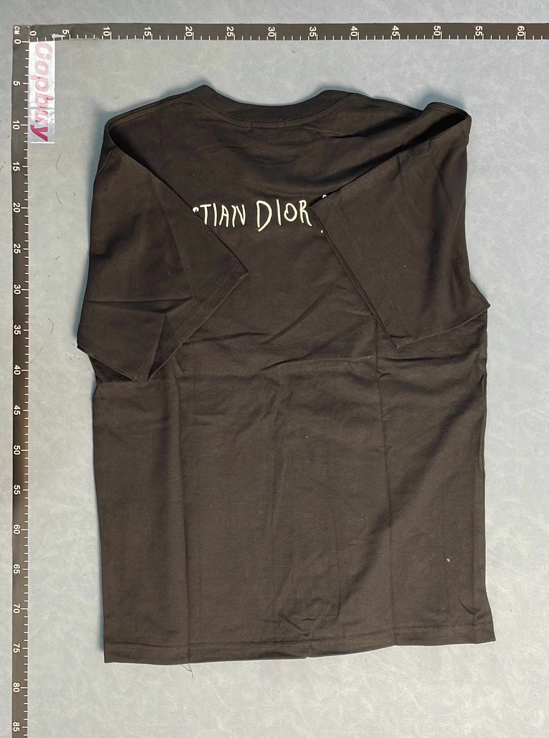 Dior White T-Shirt with Butterfly Embroidery Logo