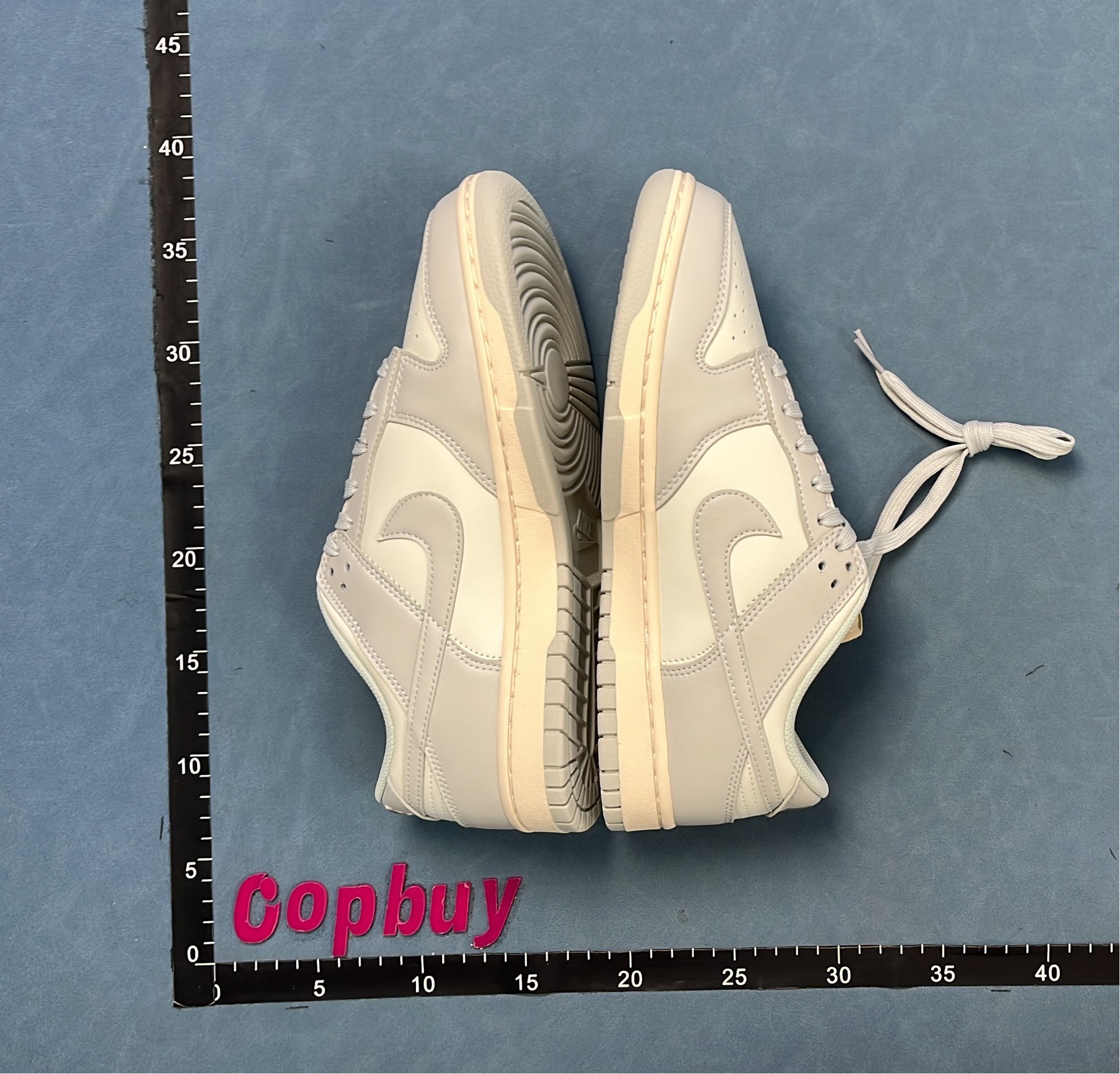Nike Dunk Low Sneakers - Classic Colorways for Men and Women