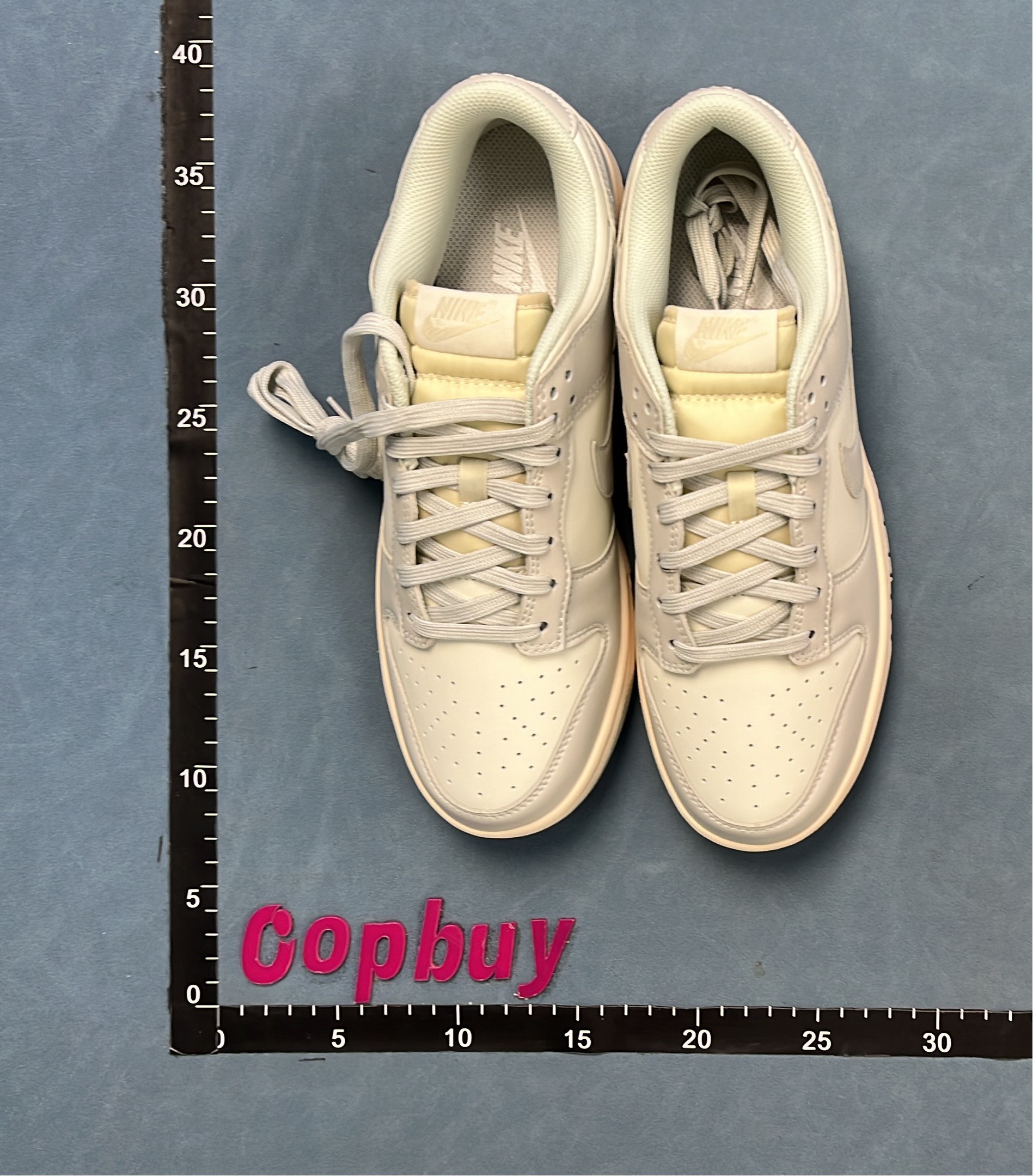 Nike Dunk Low Sneakers - Classic Colorways for Men and Women