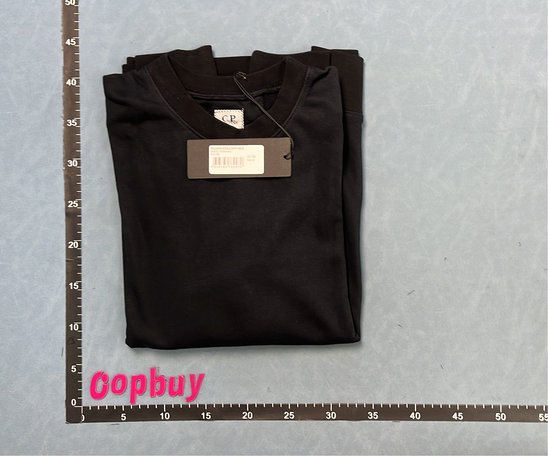 Light Gray Crewneck Sweatshirt for Men Women Casual Wear