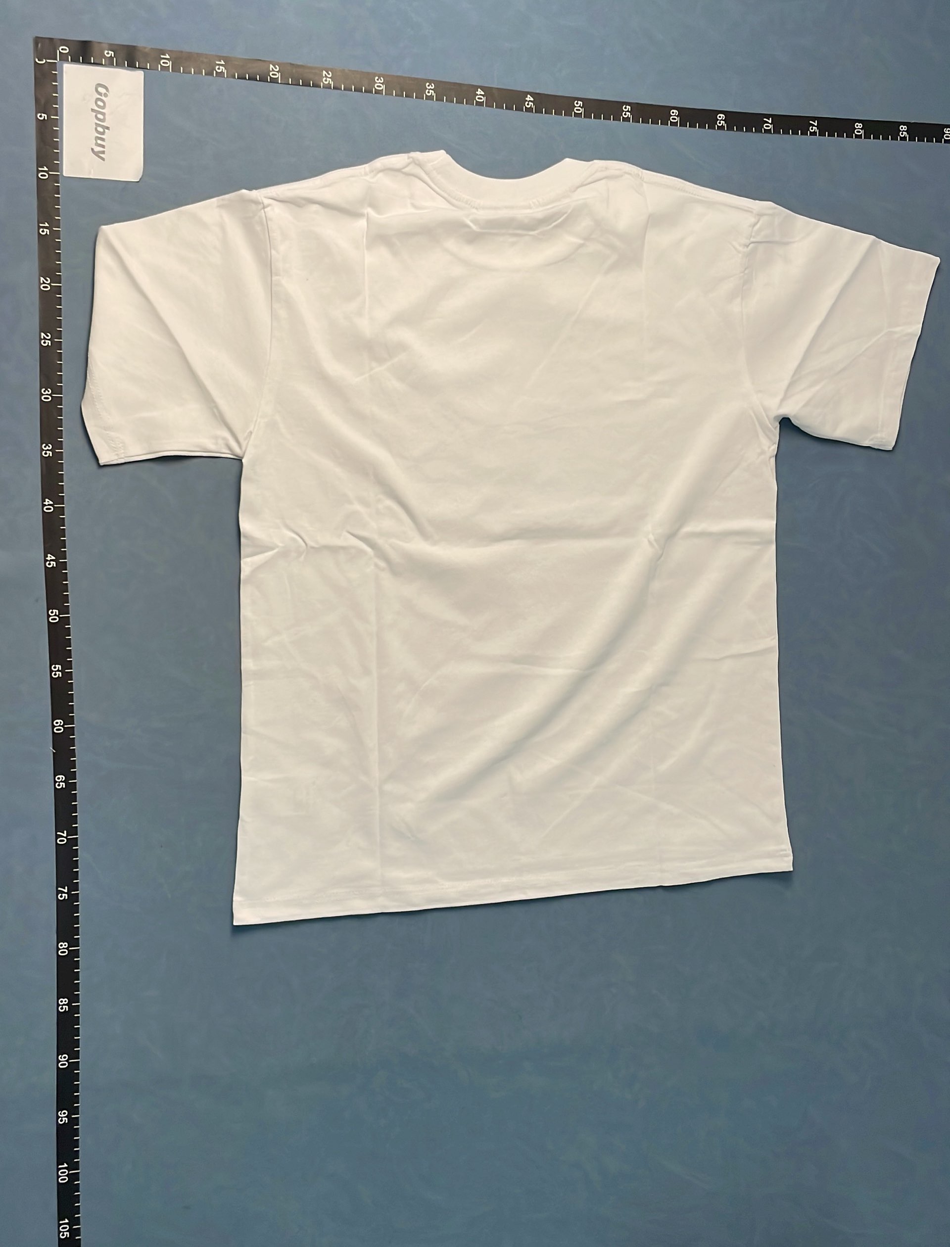 Graphic T-Shirt Collection