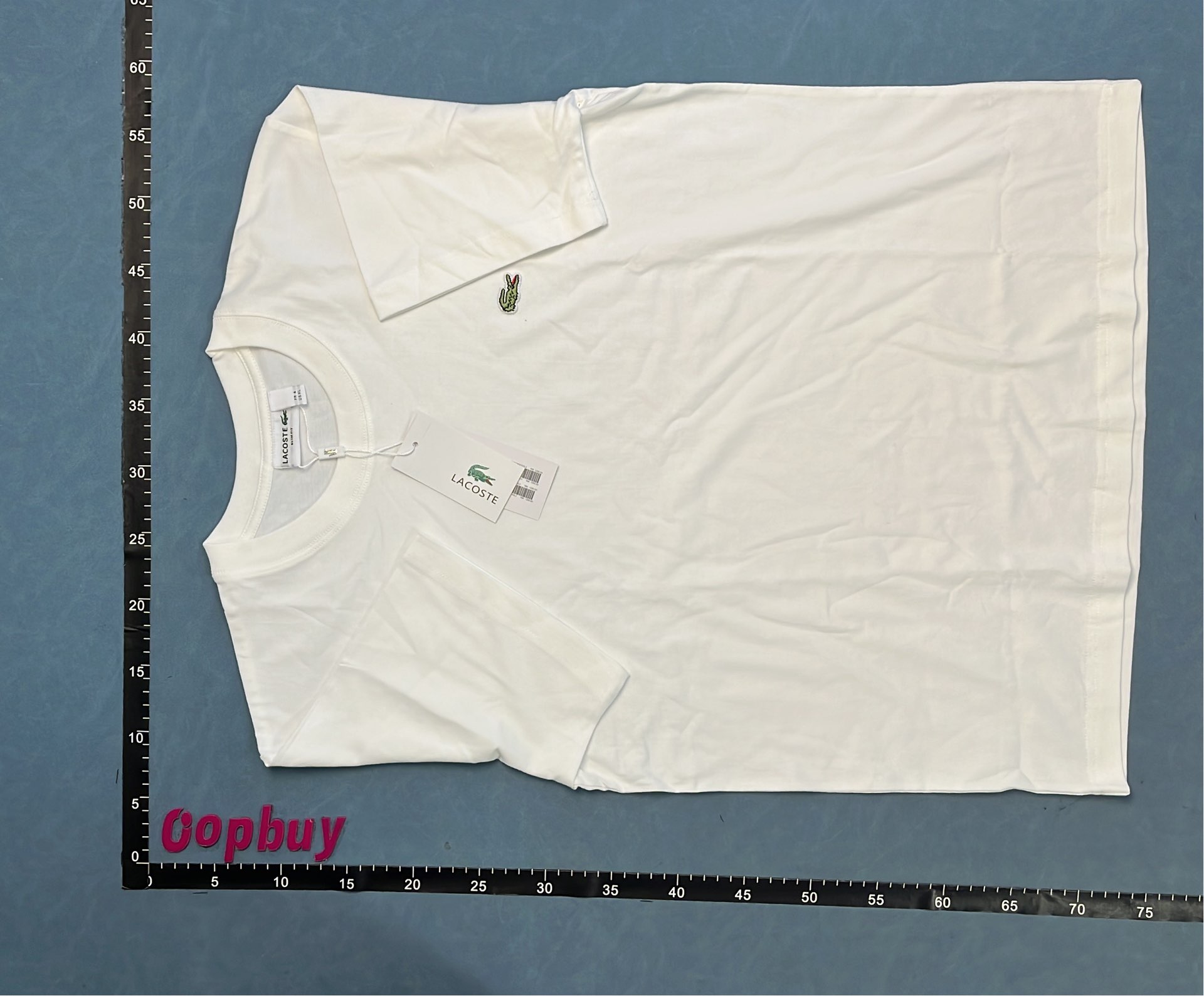 Classic Cotton T-Shirt for Men - Black, White, Green | Comfort Fit