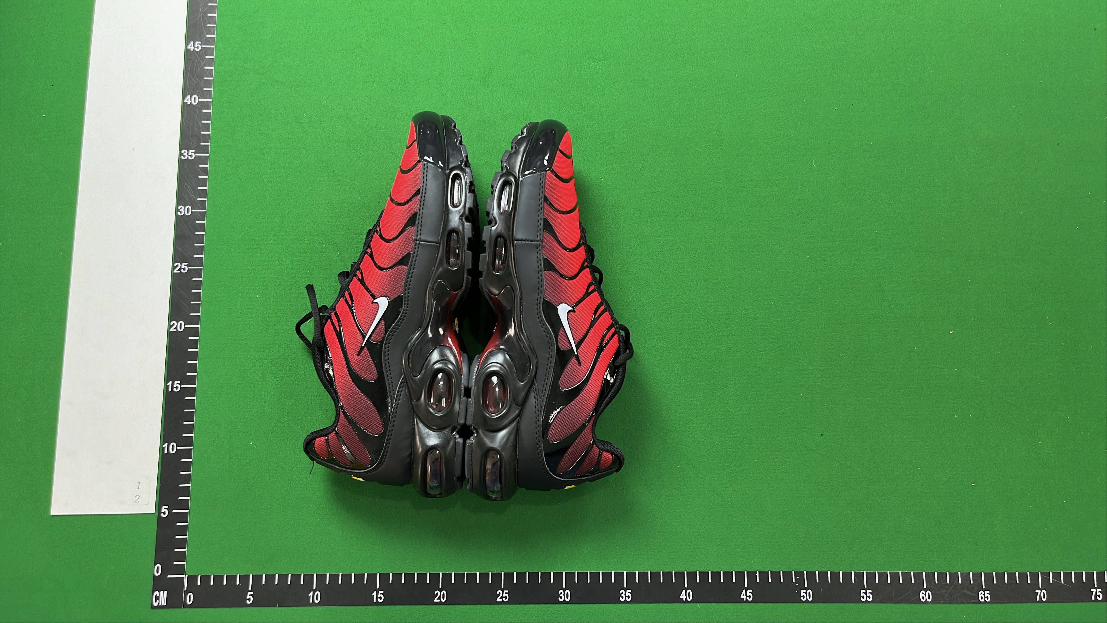 Nike Air Max Plus TN Sneakers for Men and Women