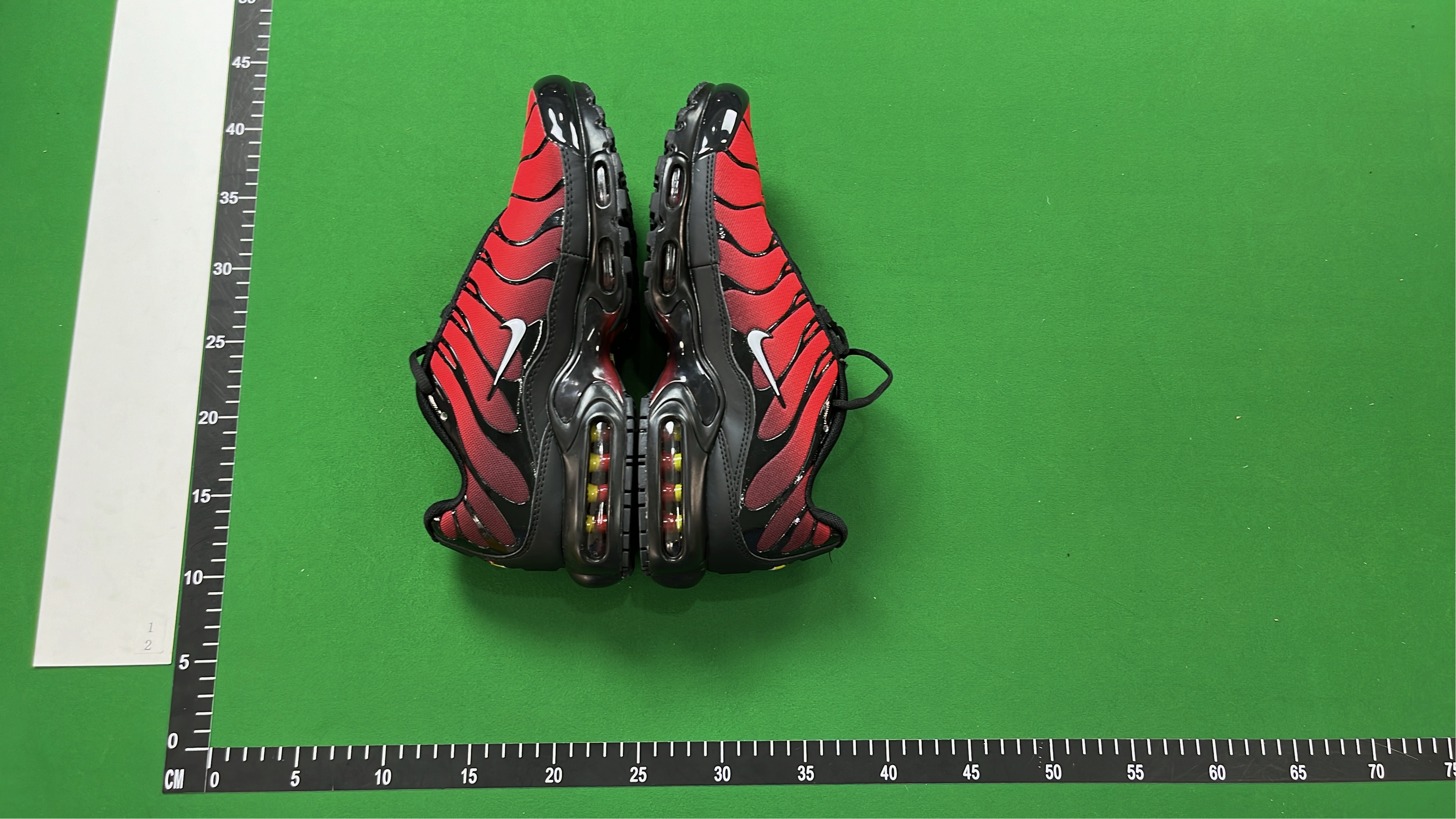 Nike Air Max Plus TN Sneakers for Men and Women