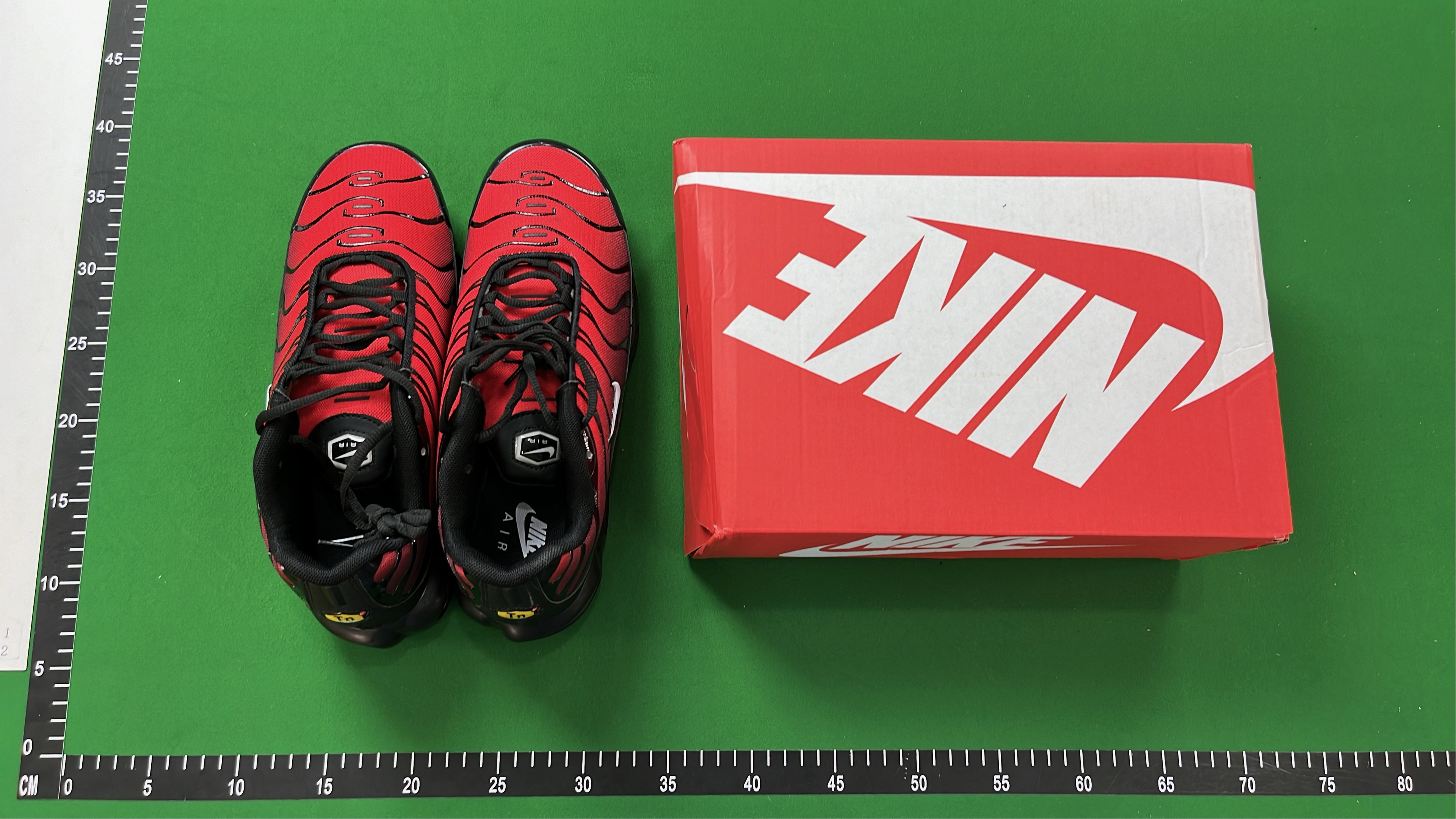 Nike Air Max Plus TN Sneakers for Men and Women