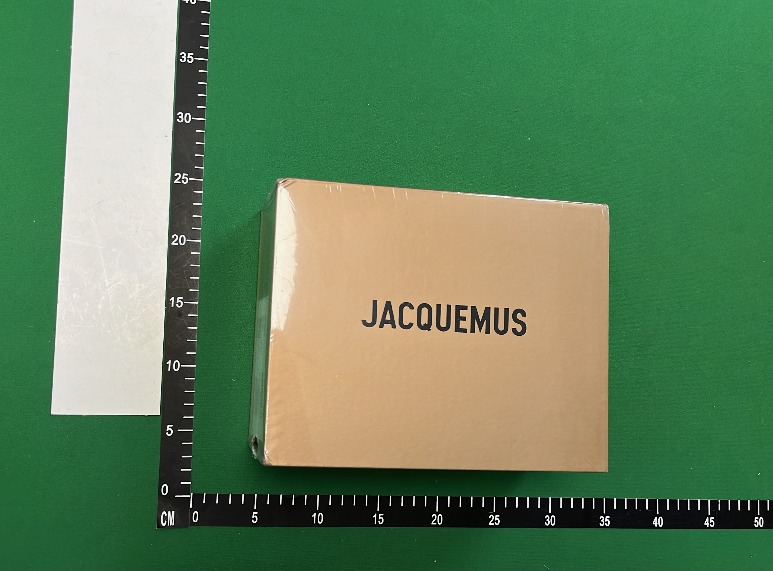 Jacquemus Blue Mini Bag with Handle and Shoulder Strap