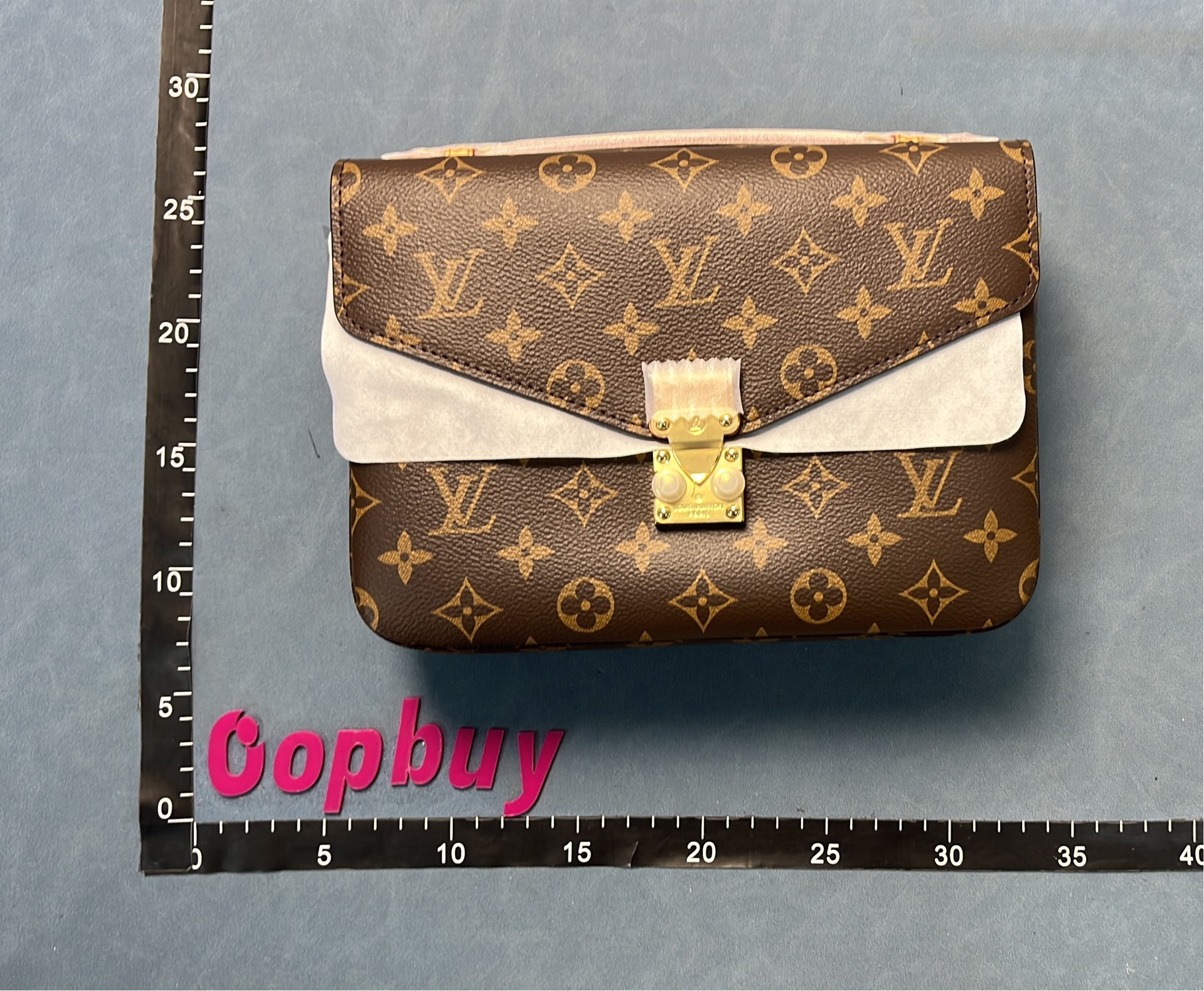 Louis Vuitton Monogram Canvas Bag with Gold Hardware