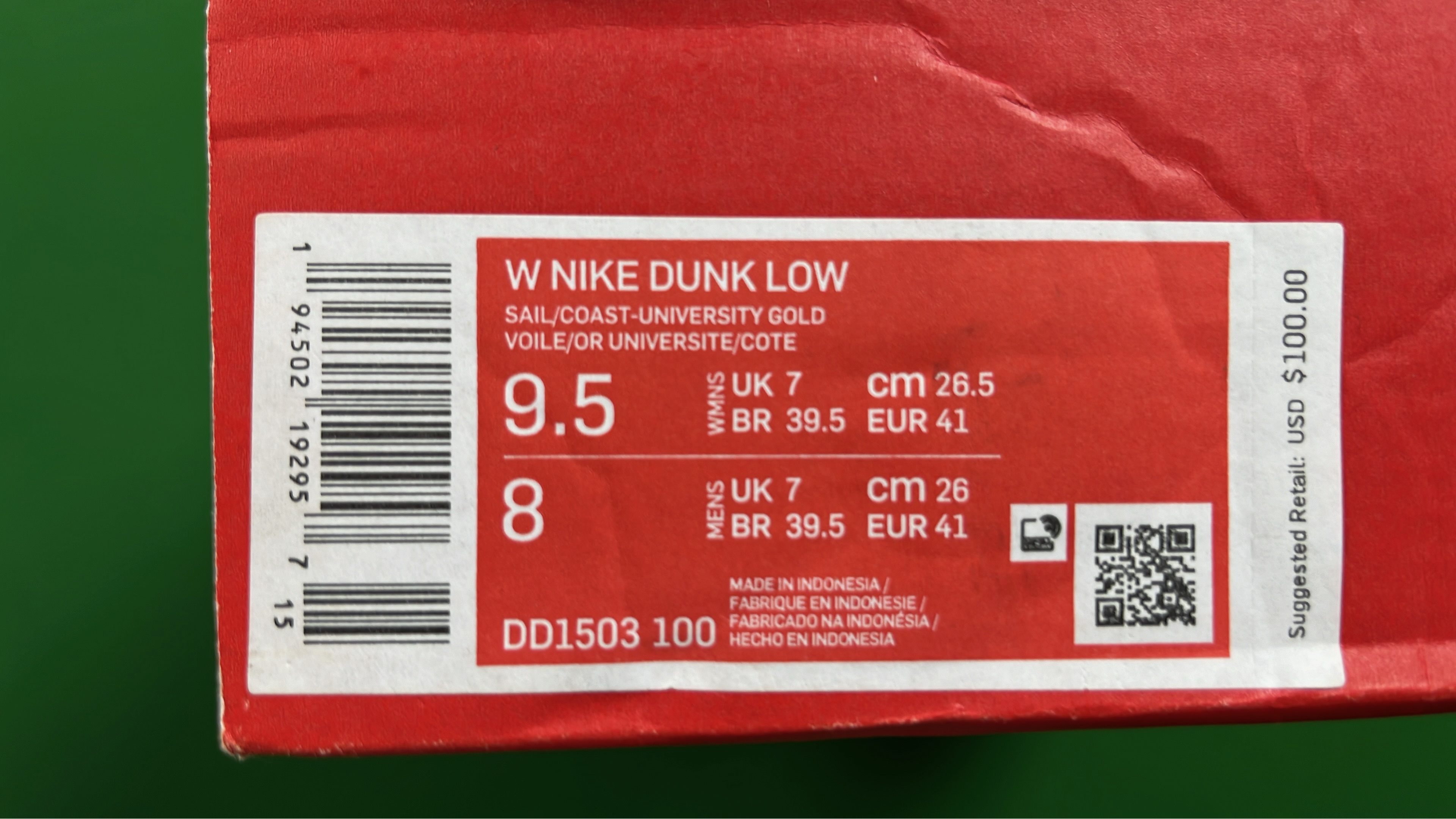 Nike Dunk Low Retro Shoes Collection
