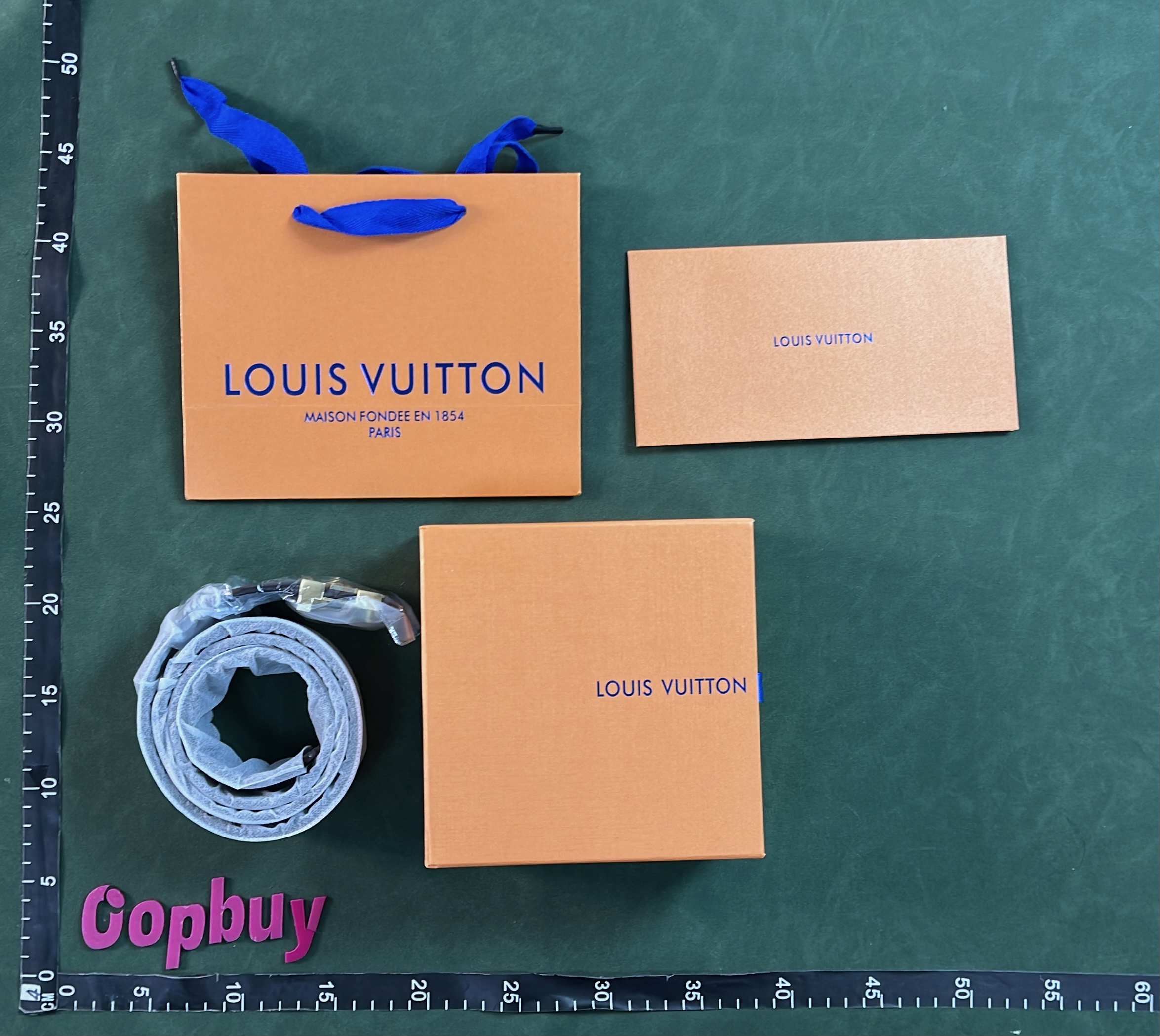 LV Damier Graphite Belt with Gold Silver Black Buckle