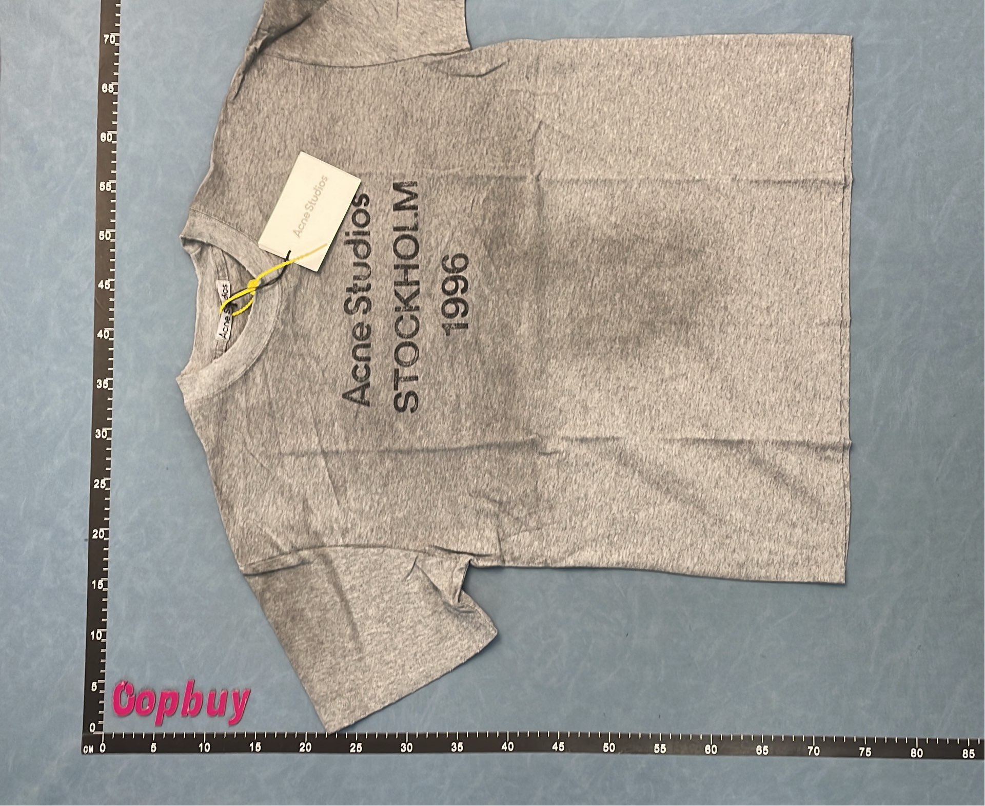 Gray T-Shirt with Distressed Sleeve Detail