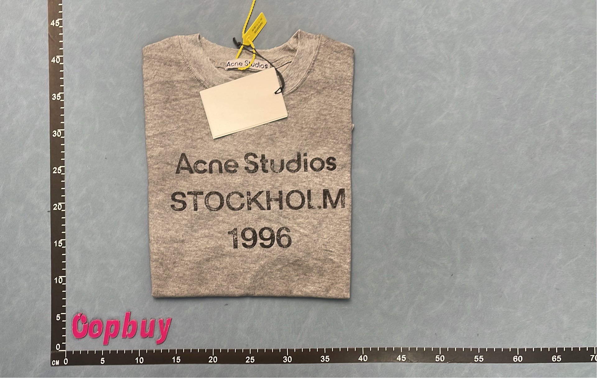 Gray T-Shirt with Distressed Sleeve Detail