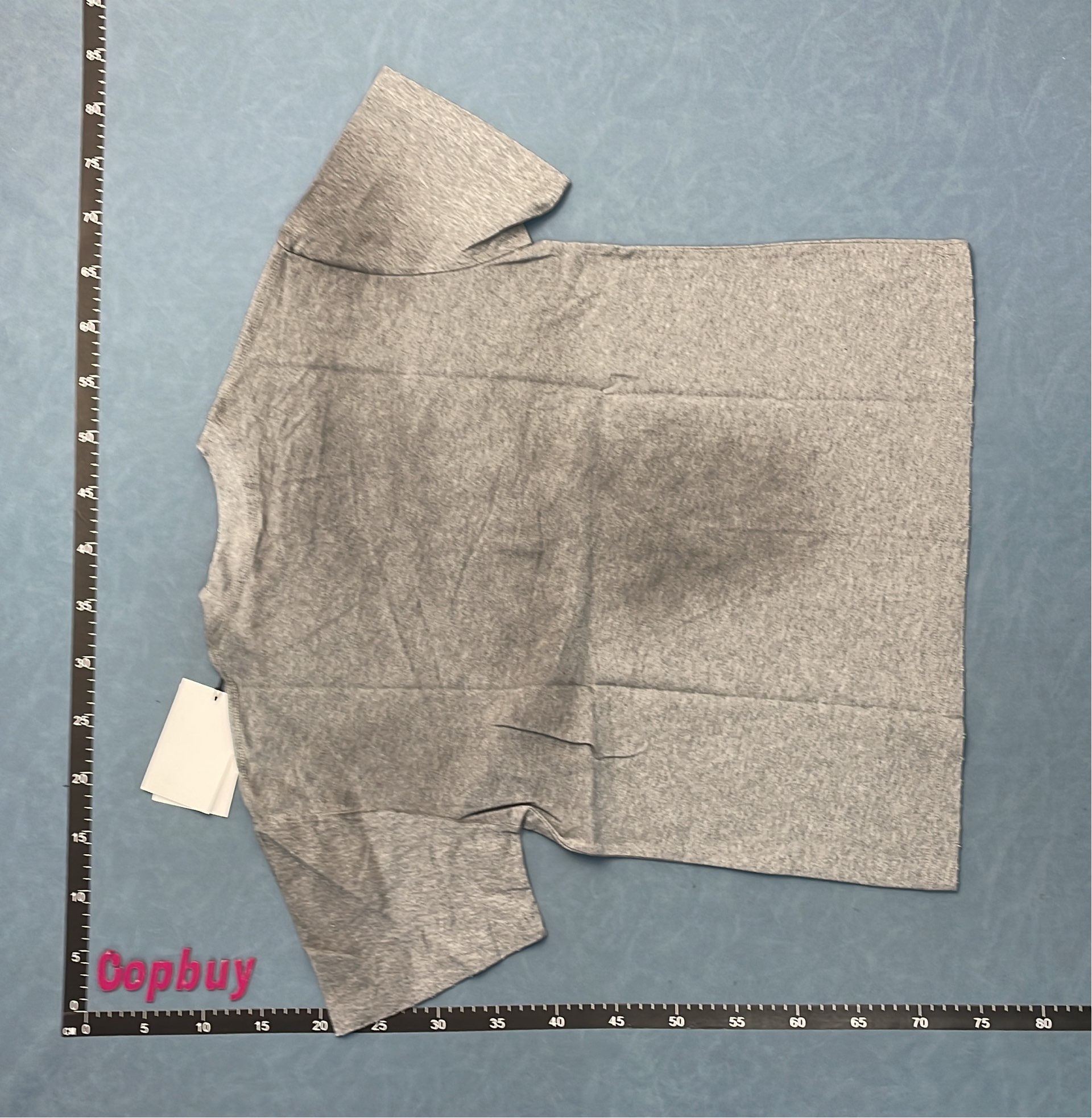 Gray T-Shirt with Distressed Sleeve Detail