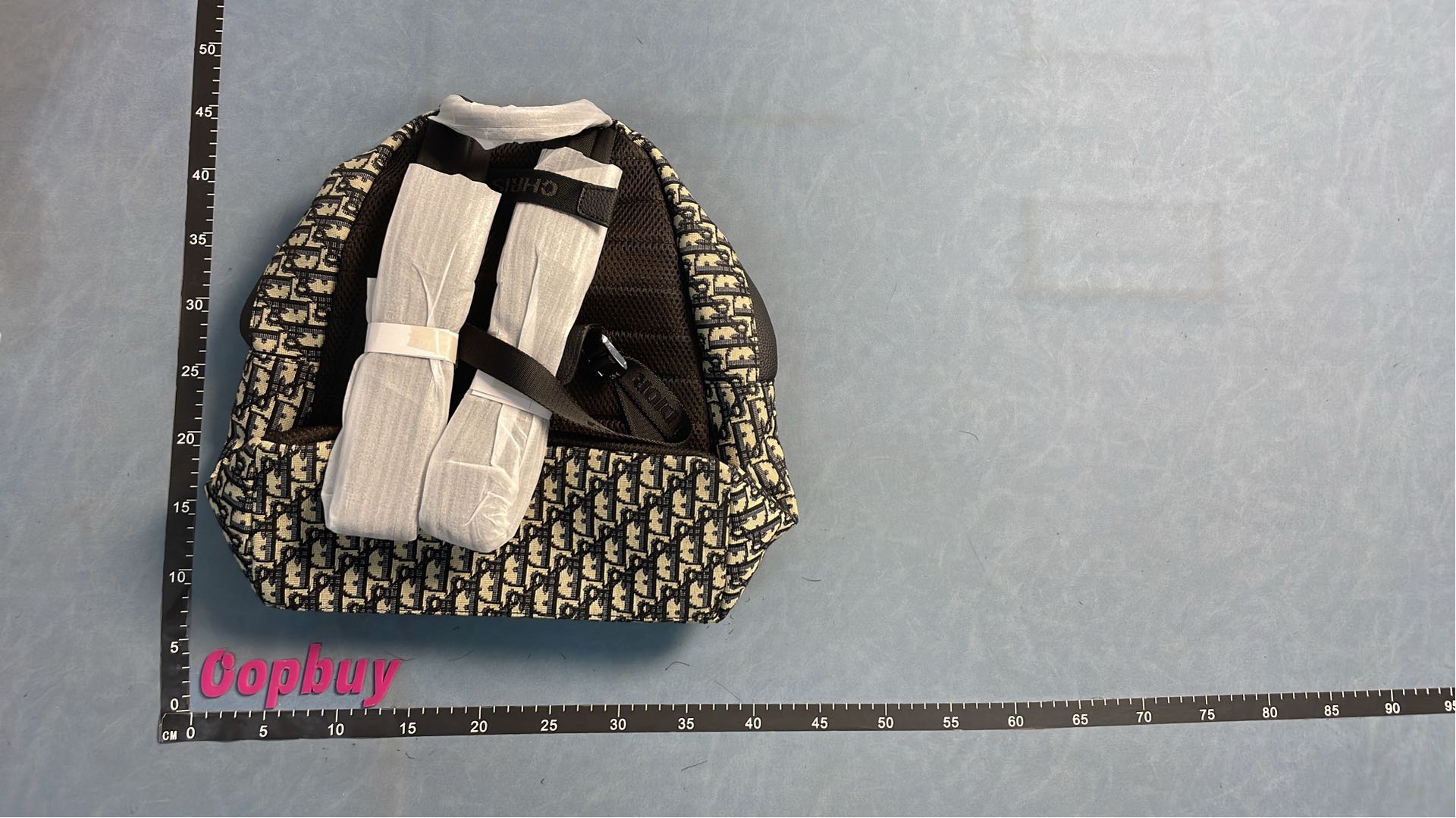 Dior Monogram Backpack - Stylish & Spacious Design