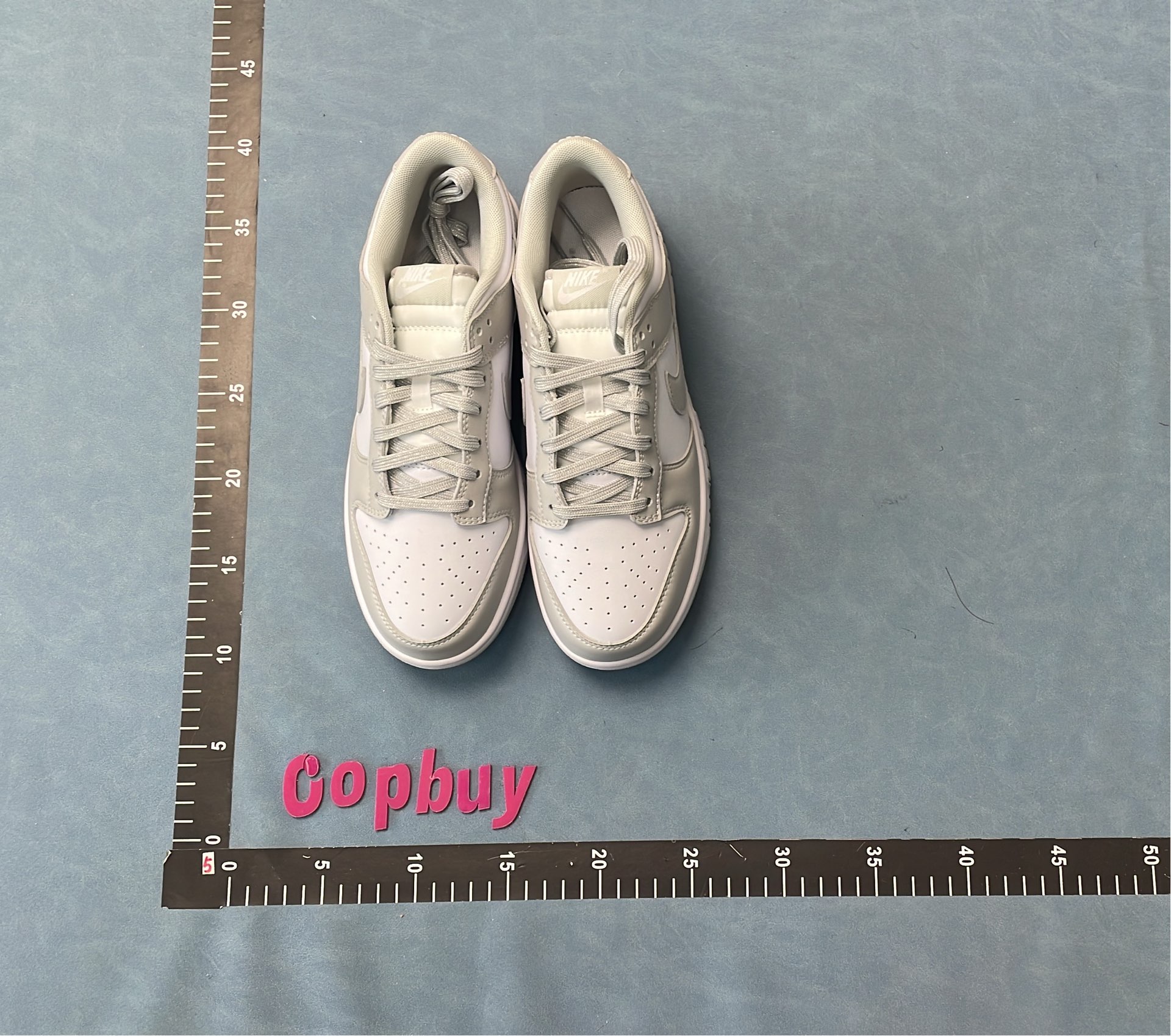 Nike Dunk Low Retro Shoes for Men and Women