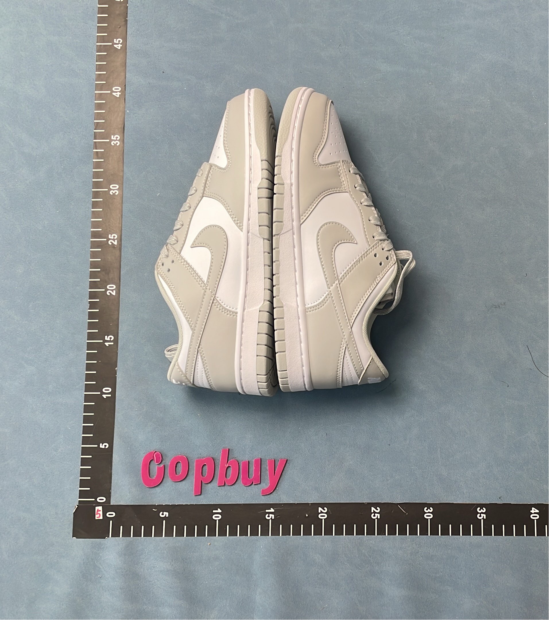 Nike Dunk Low Retro Shoes for Men and Women