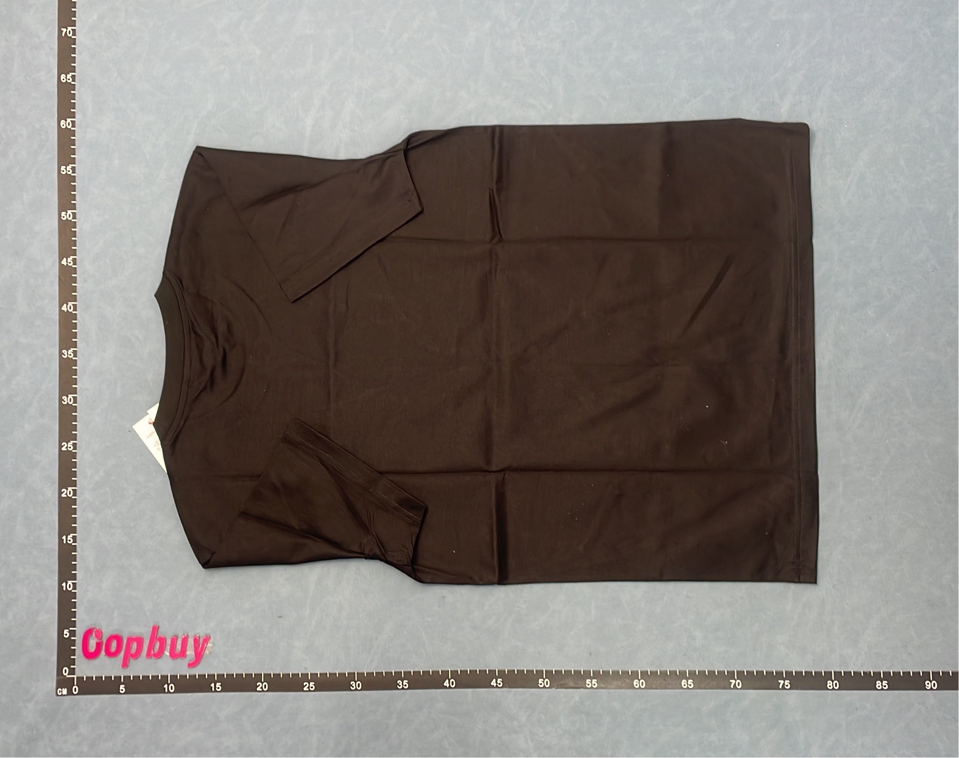 Classic Lacoste Cropped T-Shirt for Women