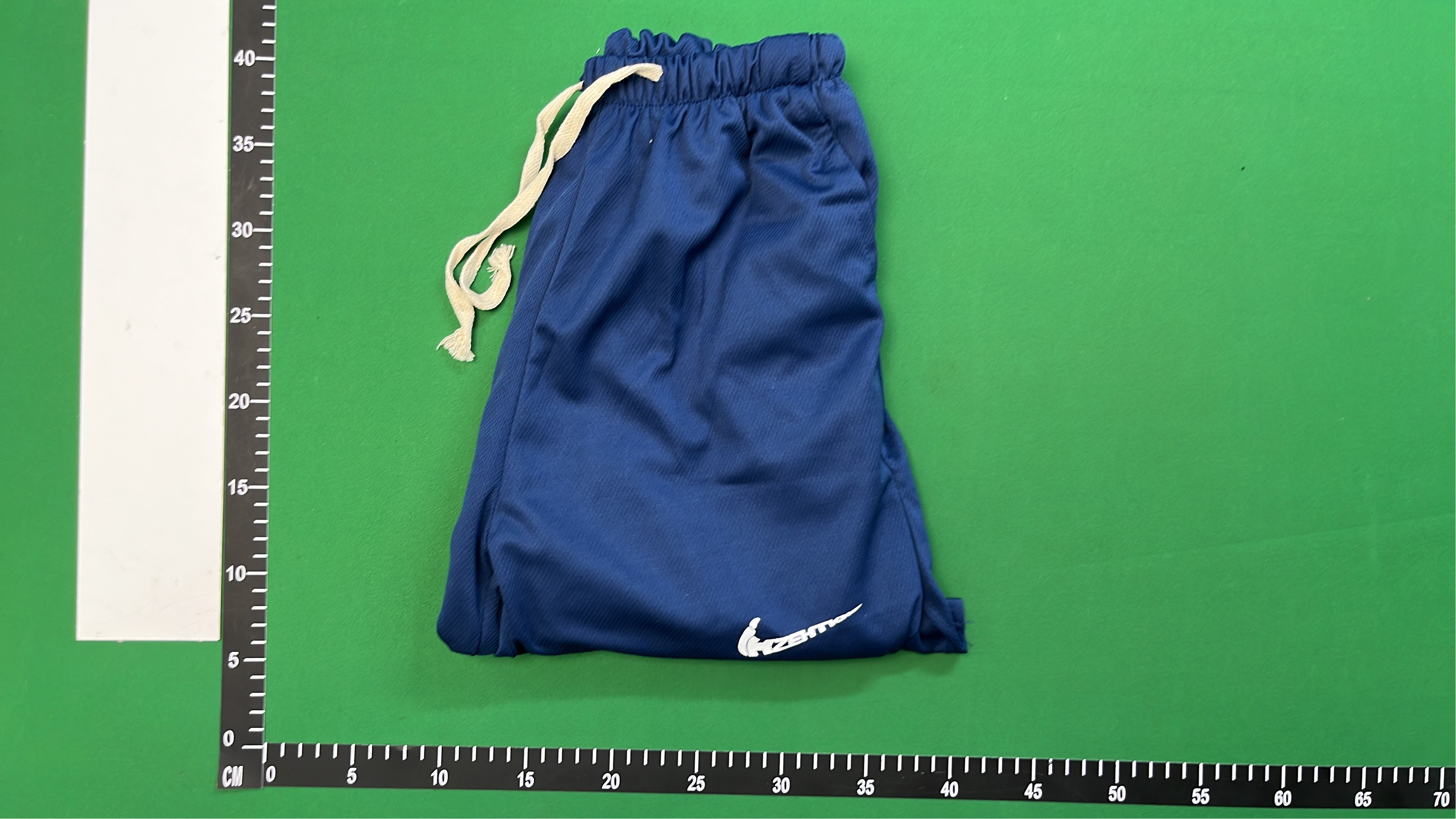 Nike Women's Dri-FIT Mesh Training Shorts
