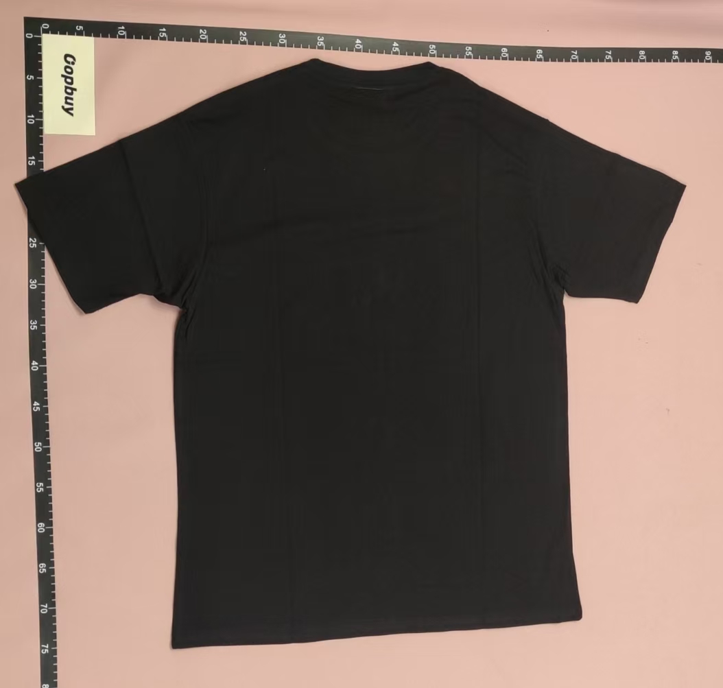 Spider Graphic T-Shirts Collection for Men and Women
