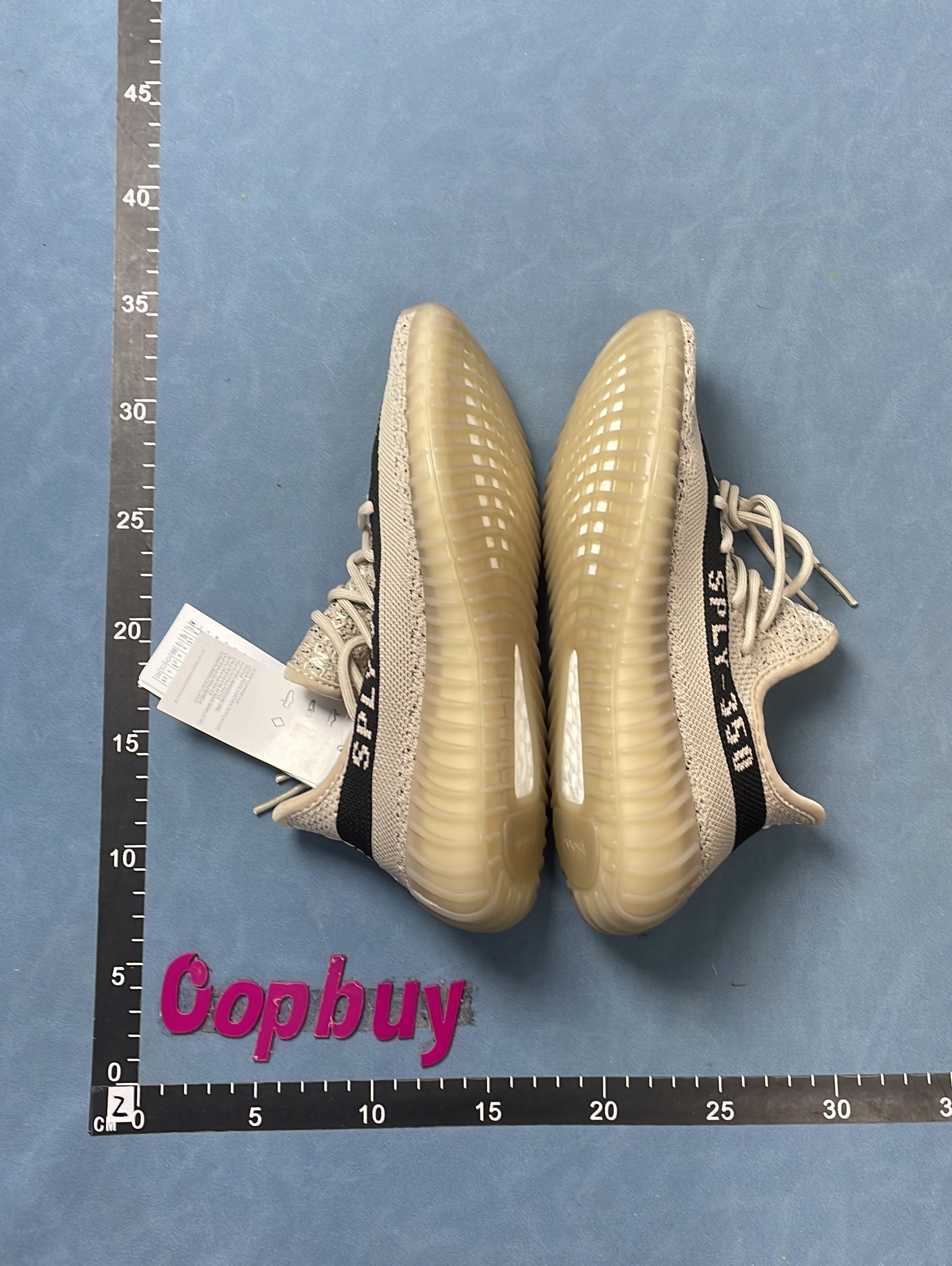 Adidas Yeezy Boost 350 V2