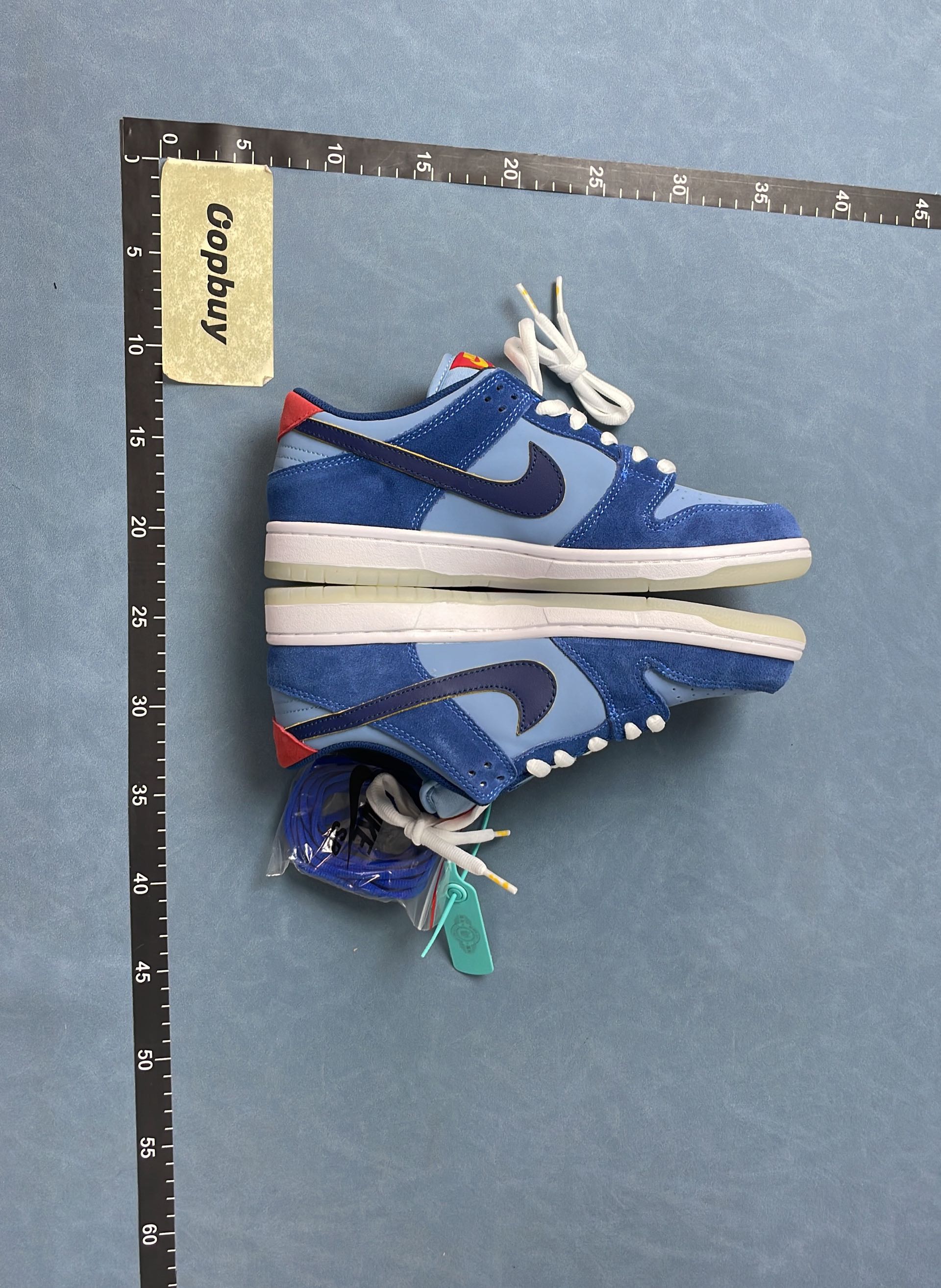 Nike Dunk Low Retro Shoes for Men and Women