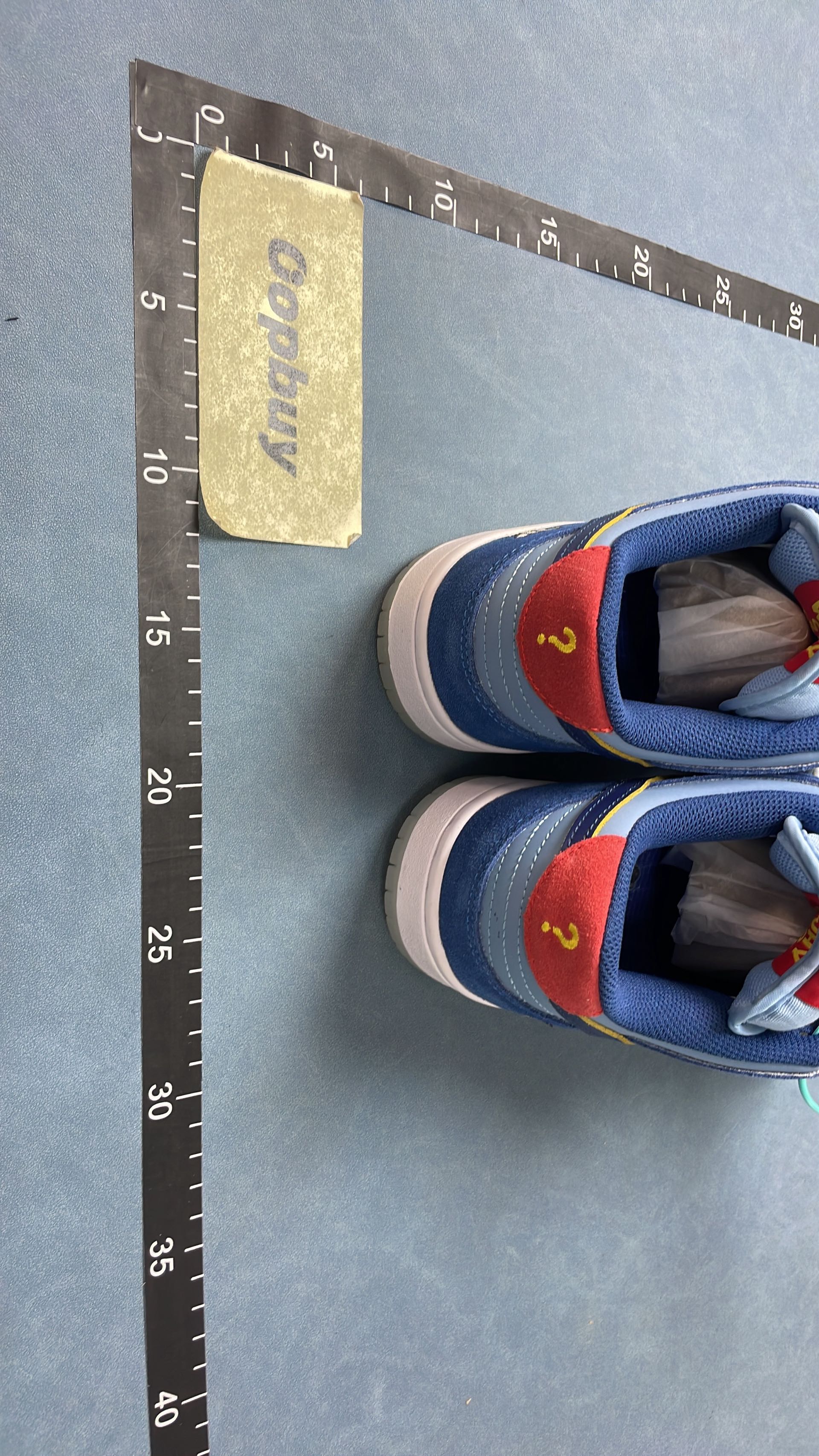 Nike Dunk Low Retro Shoes for Men and Women
