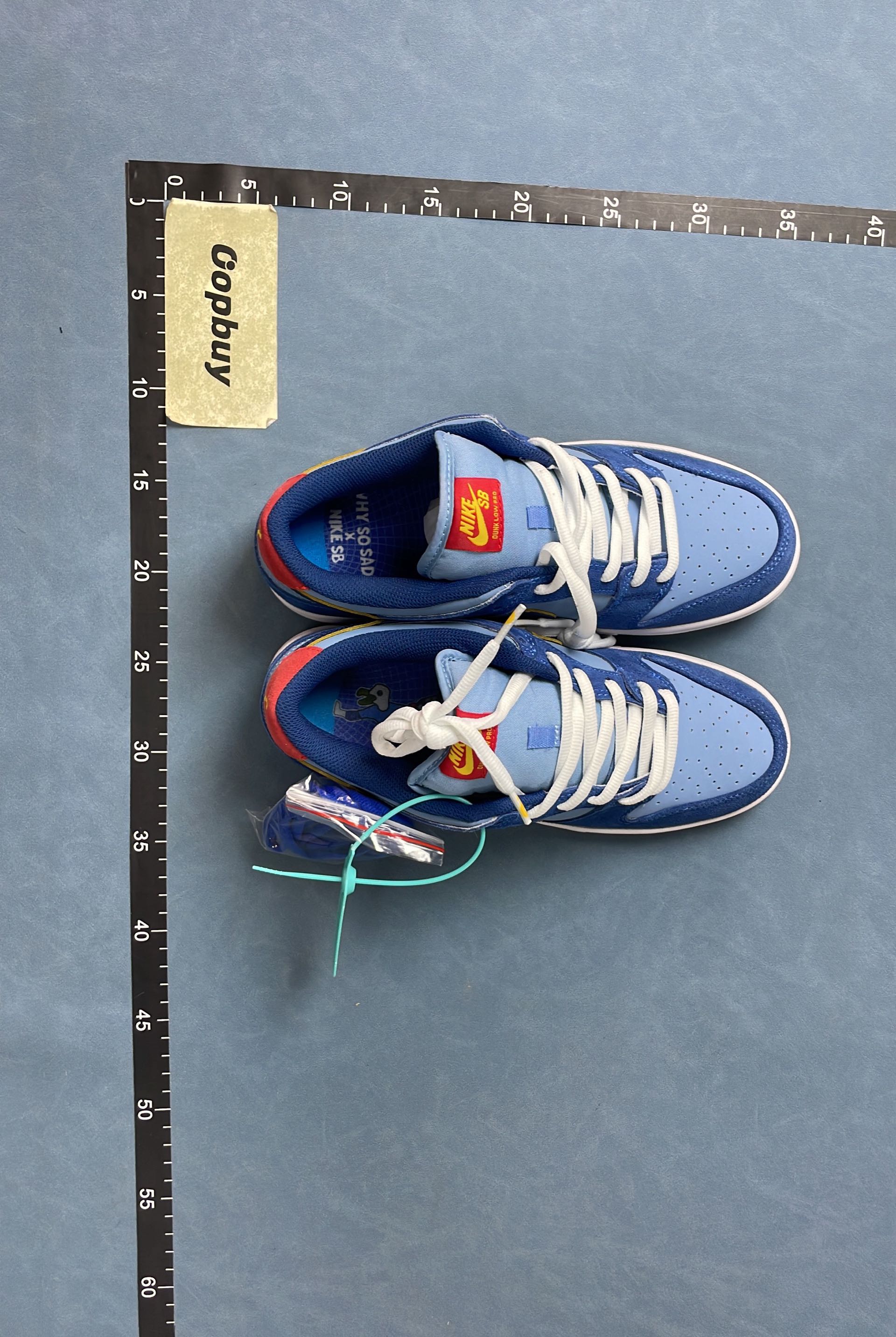 Nike Dunk Low Retro Shoes for Men and Women