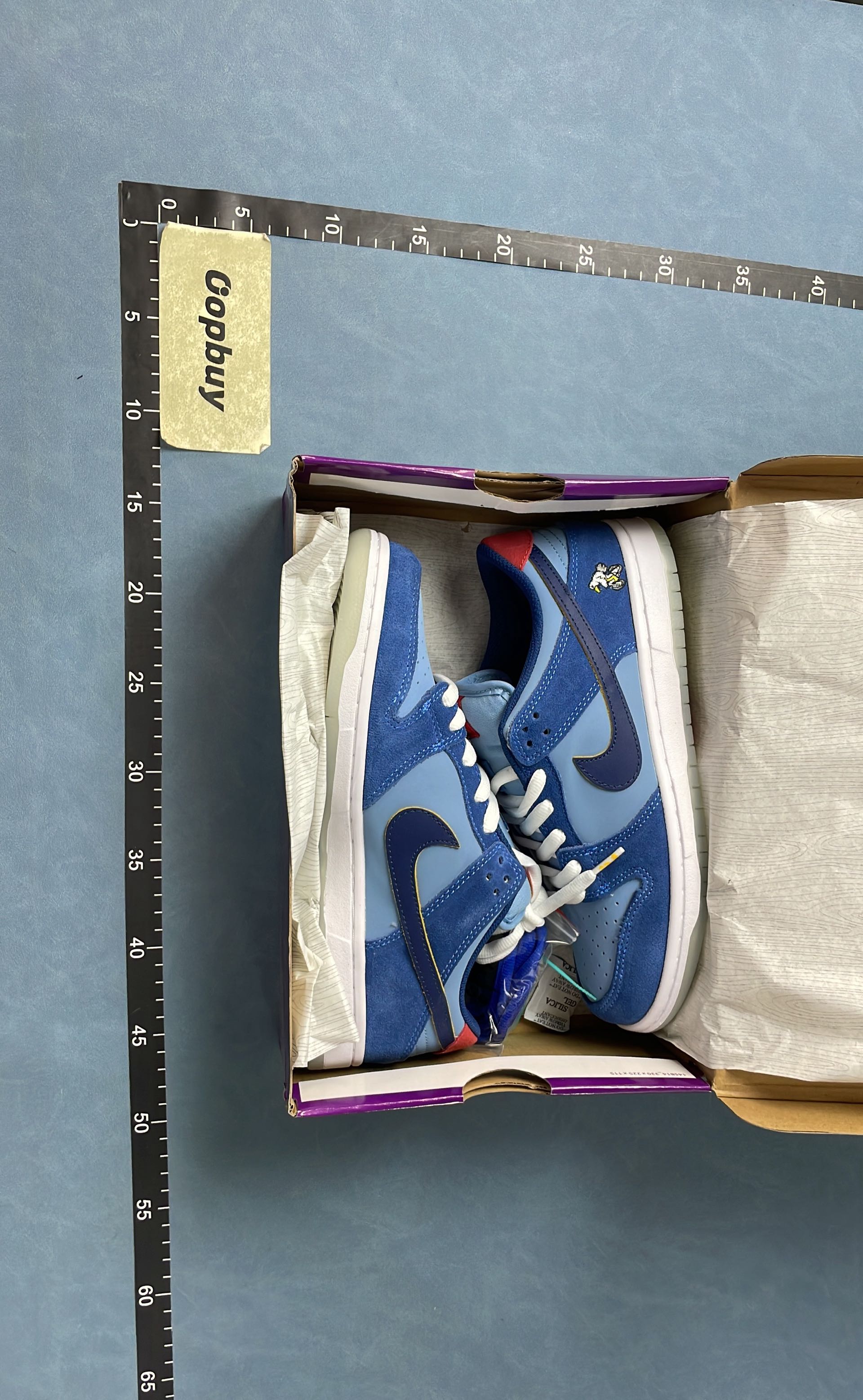 Nike Dunk Low Retro Shoes for Men and Women