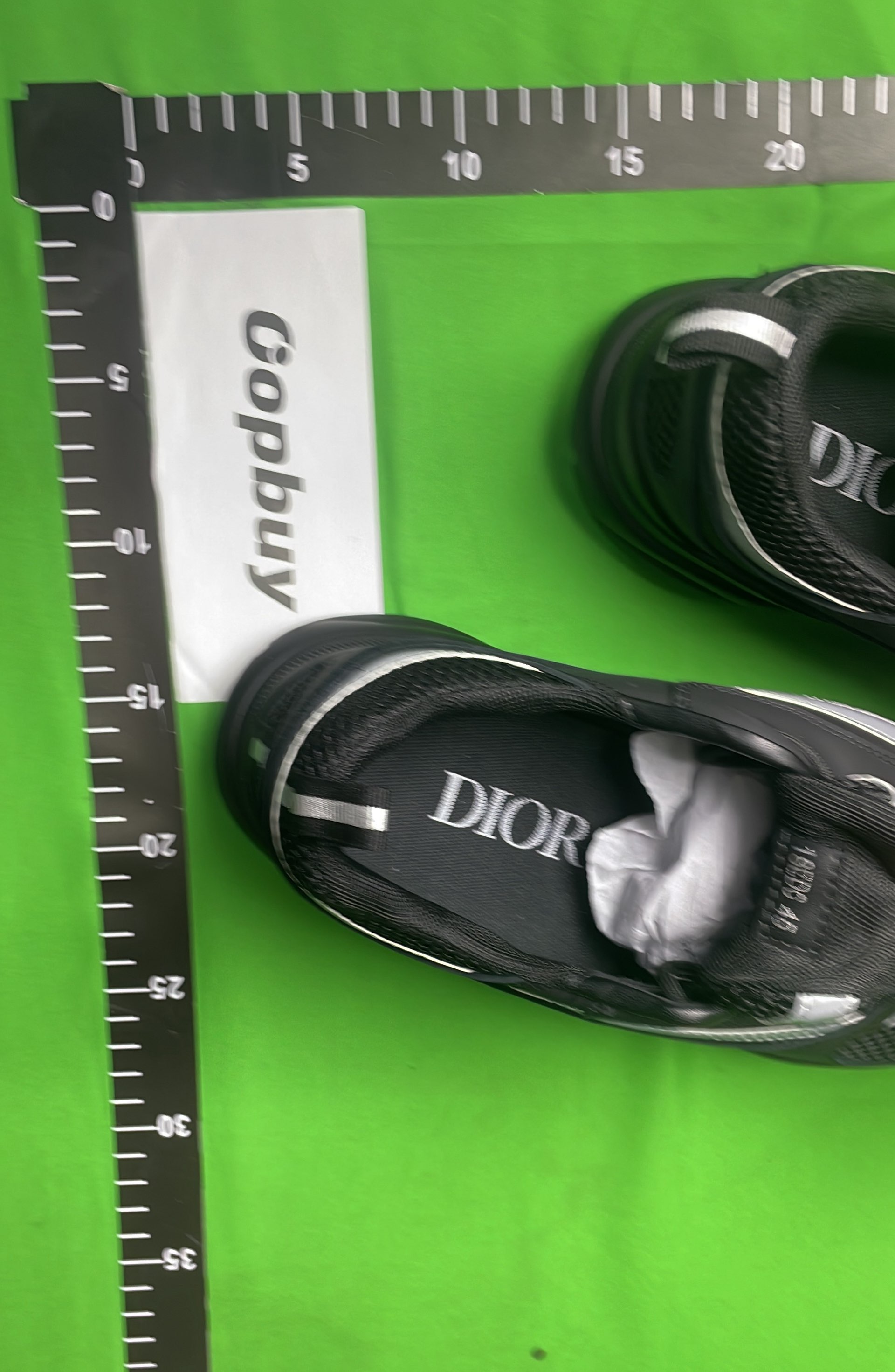 Dior B23 High-Top Sneakers for Men and Women