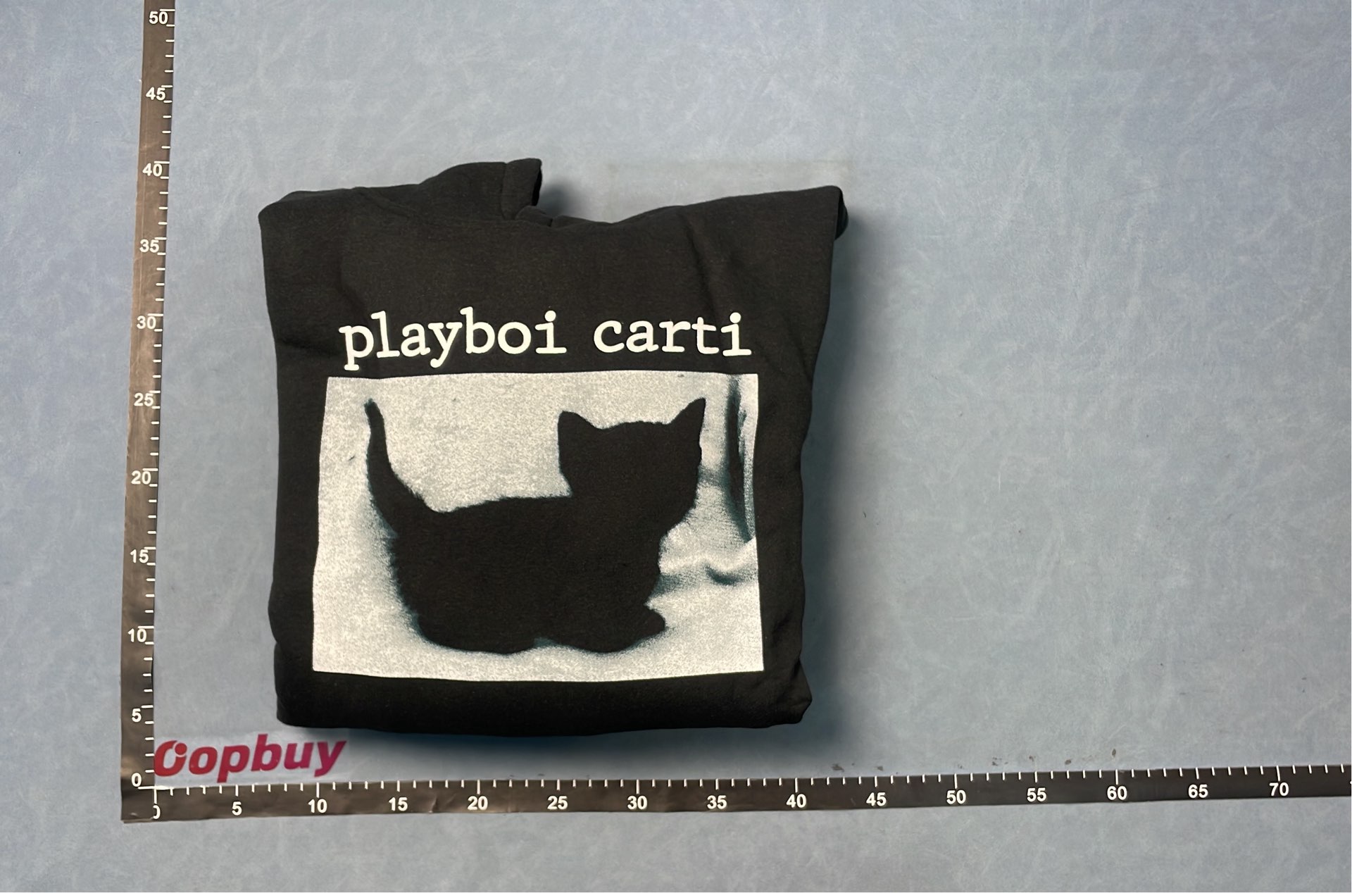 Playboi Carti Black Cat Hoodie - Official Merchandise