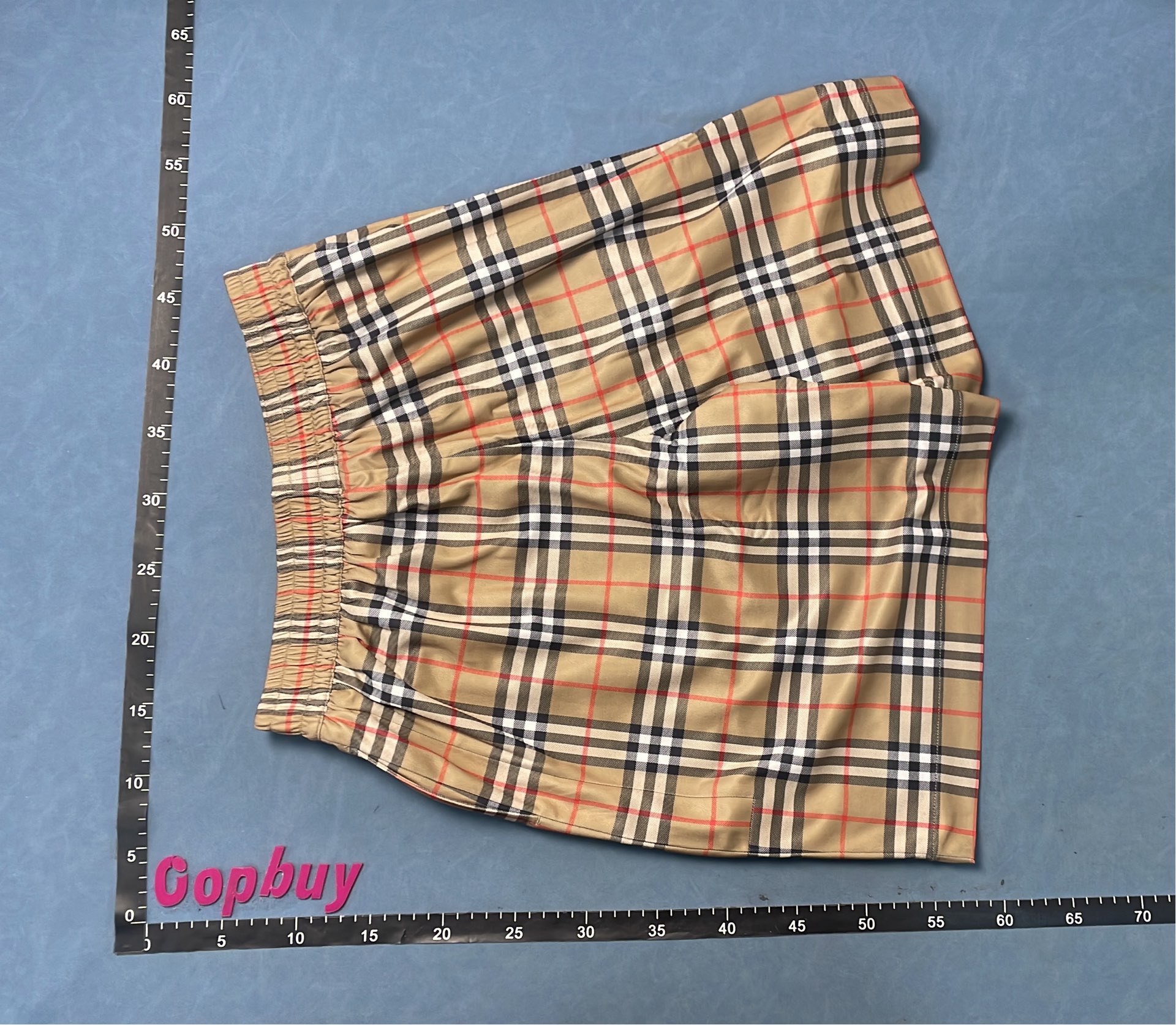 Classic Check Scarf in Beige and Red