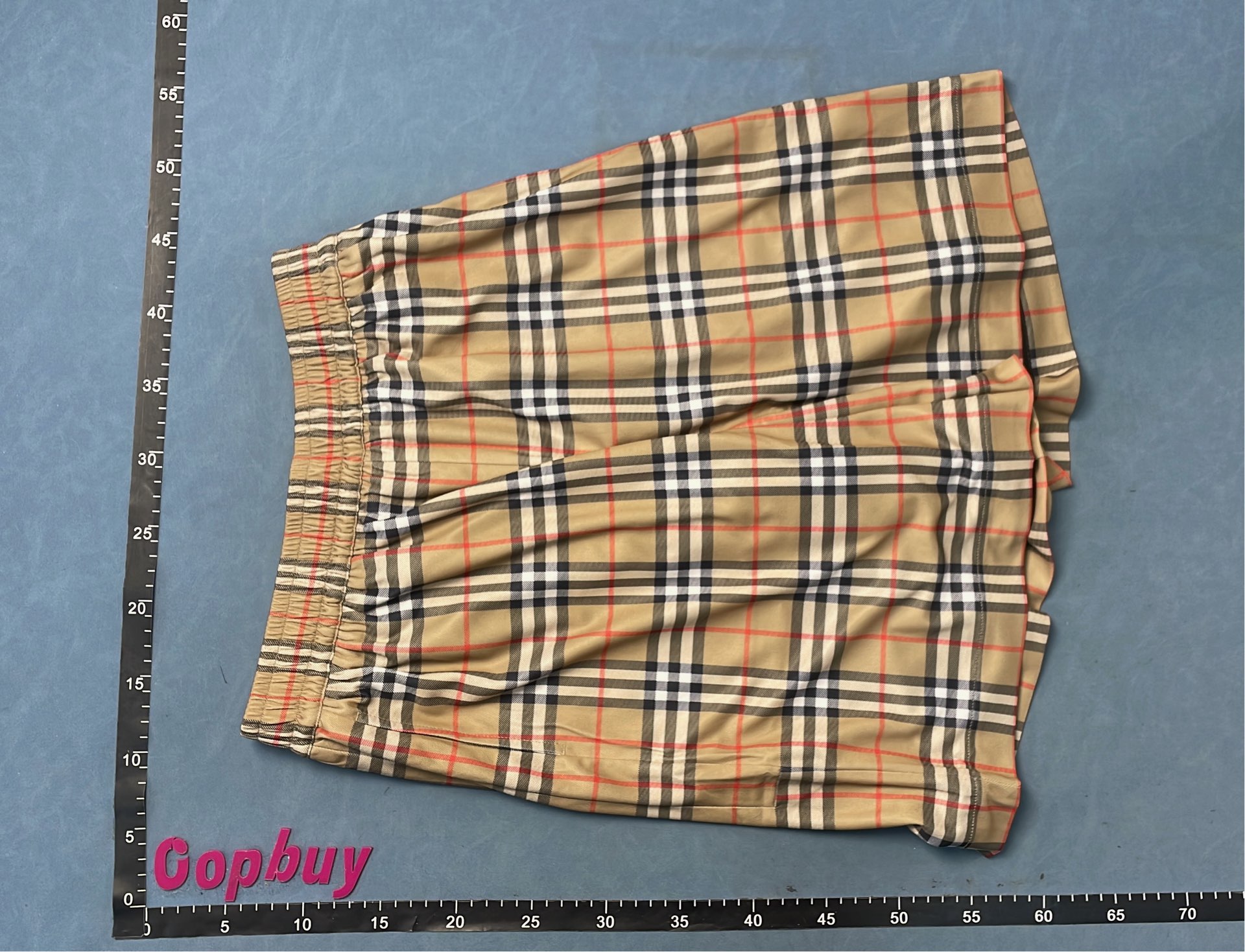 Classic Check Scarf in Beige and Red